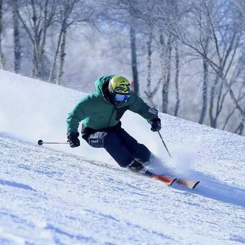 雙板滑雪分類大全