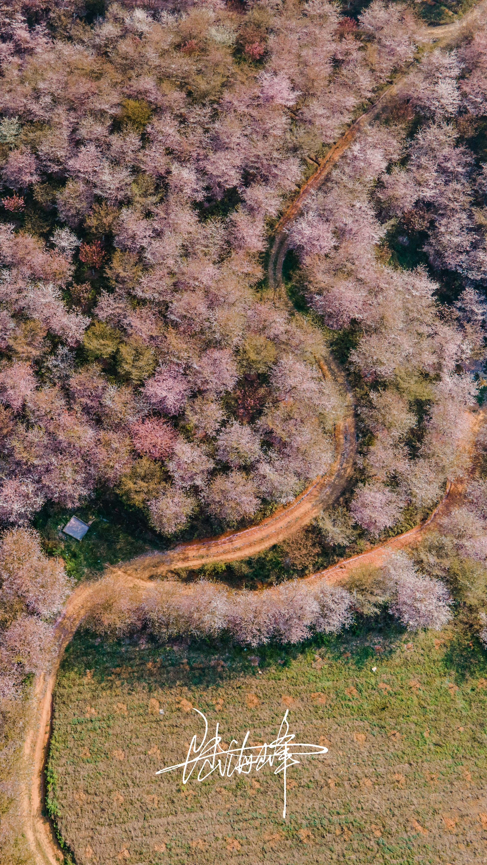 旅行图片