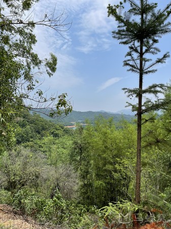 黄龙湖森林公园旅游图片,黄龙湖森林公园自助游图片,黄龙湖森林公园