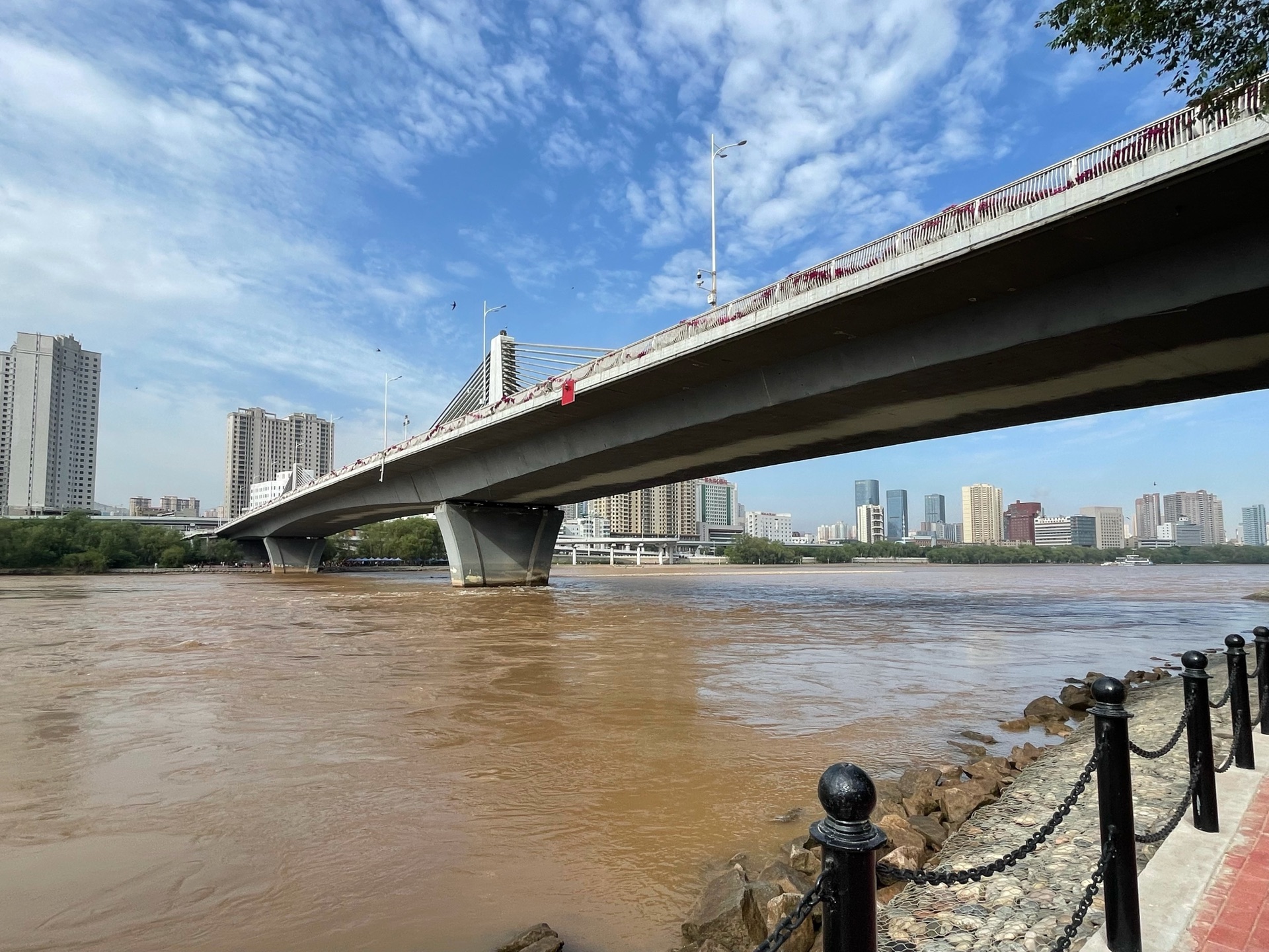 《黃河綠道西湖橋》