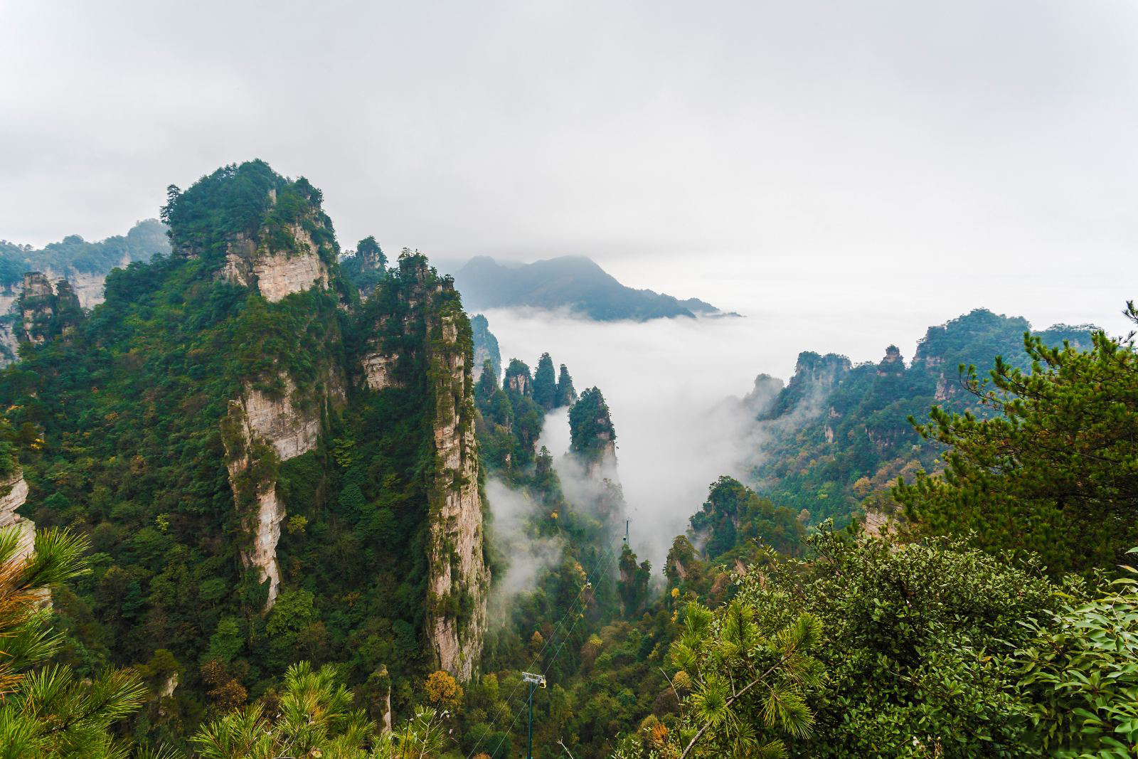 自动出票张家界国家森林公园杨家界索道门票单程往返票刷身份证乘坐