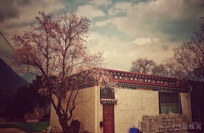 吞白村旅游图片,吞白村自助游图片,吞白村旅游景点照片 - 马蜂窝图库