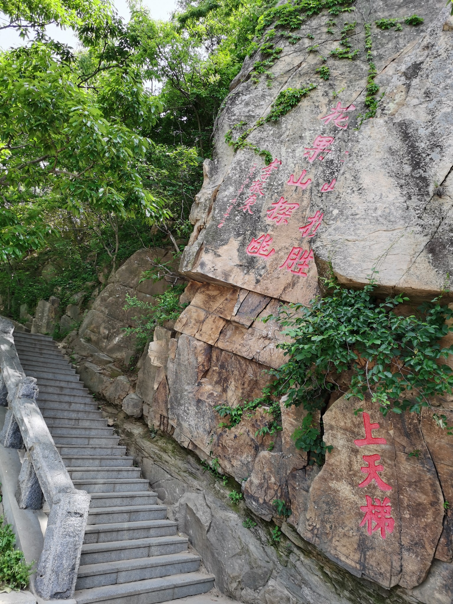 遊大聖故里花果山,登江蘇最高玉女峰;訪世遺黃海候鳥棲息地,觀珍稀