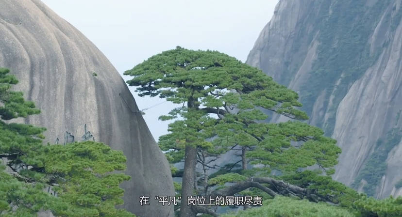 沉甸甸的攀登者黄大忠 挑山工 65岁黄大忠做挑夫已经46年了,最忙碌的