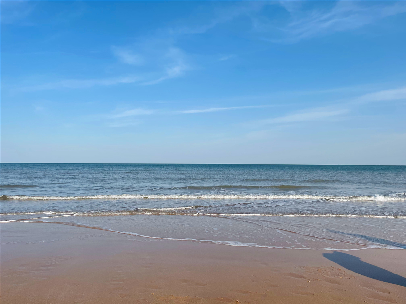 日照桃花島6.日照趕海日照趕海很難空手而歸,因此很是流行.