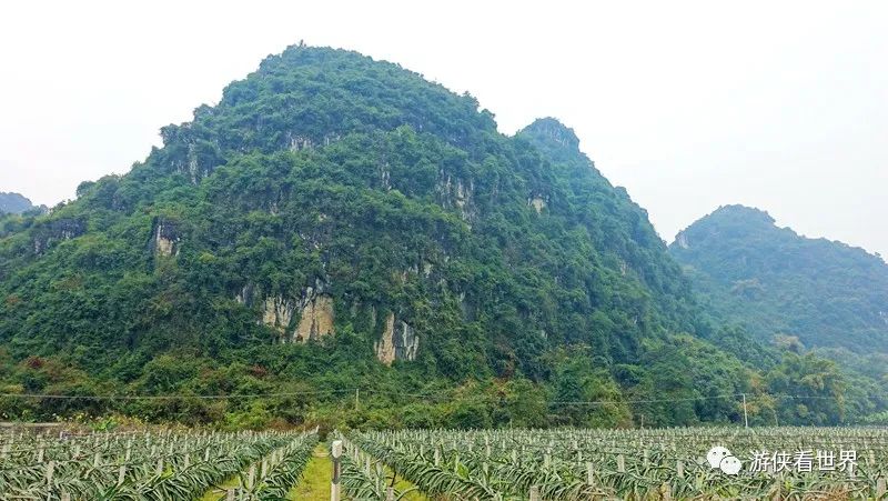 崇左自駕:天等縣都康鄉-利川獨秀峰-大新縣城