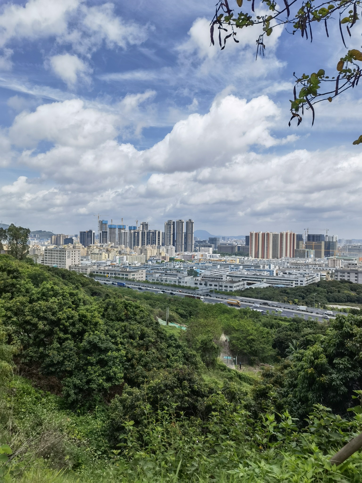 深圳丨大雁山森林公园