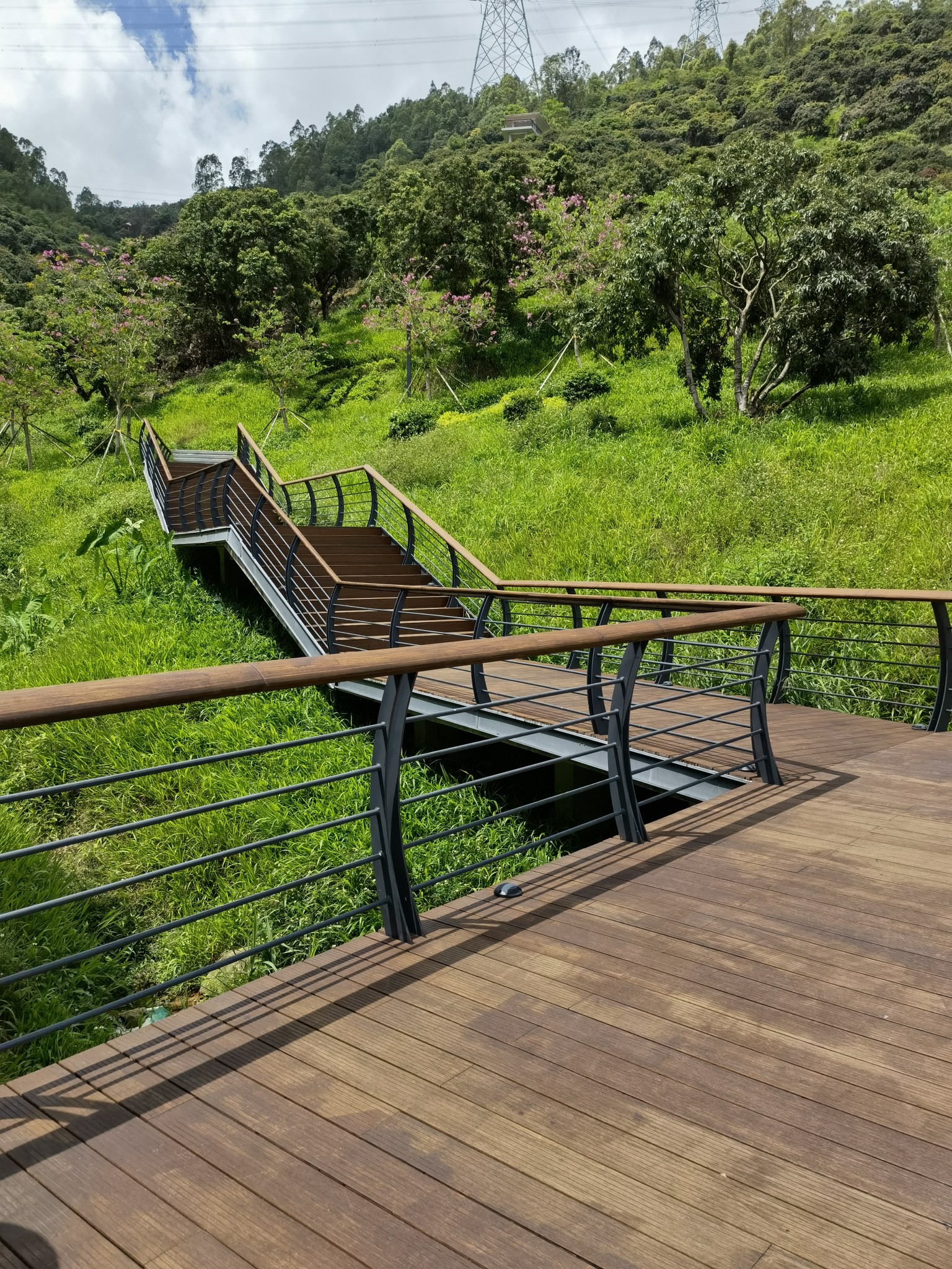 深圳丨大雁山森林公园