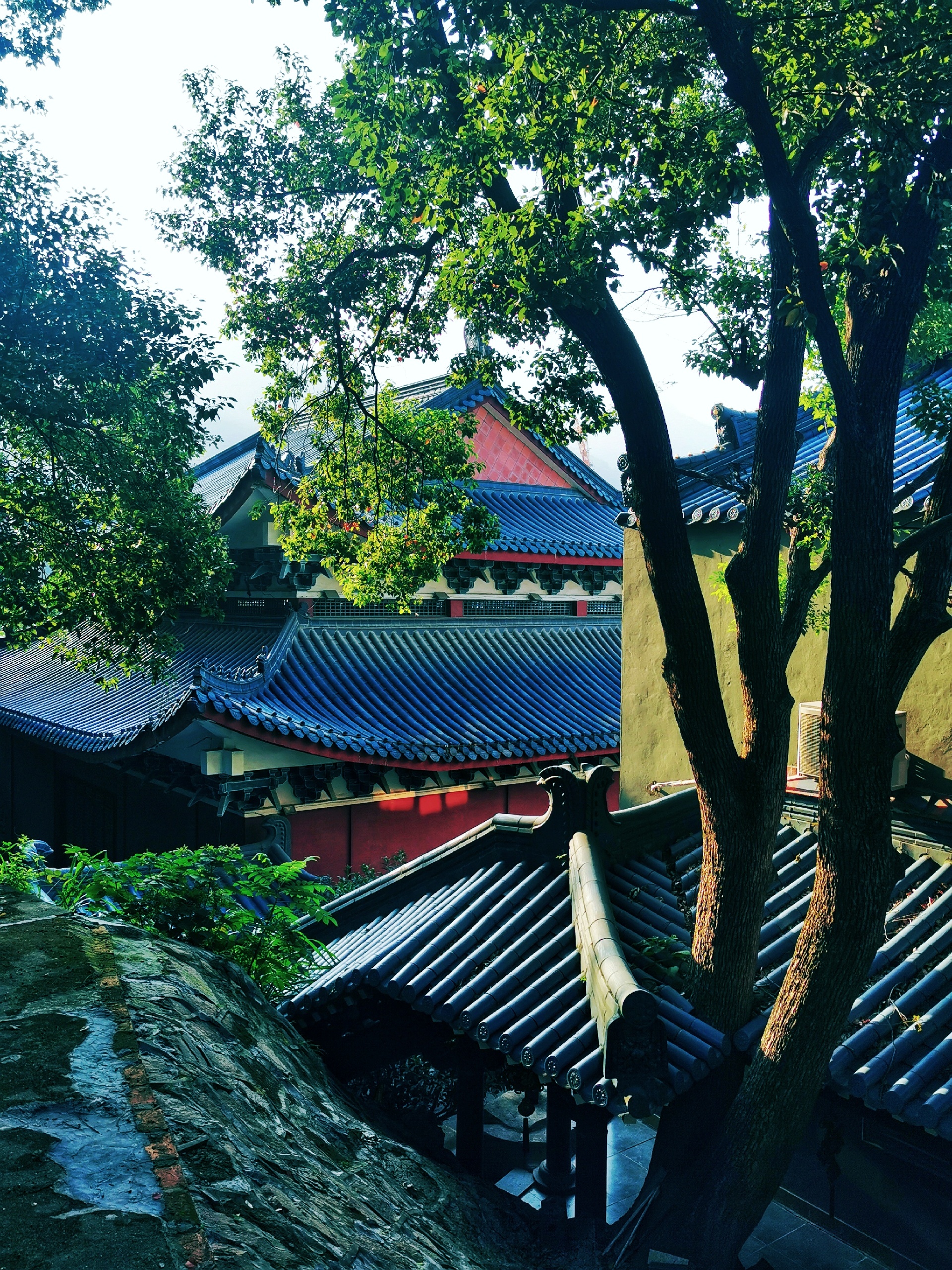 福州最古老的寺院78鼓山圣泉寺