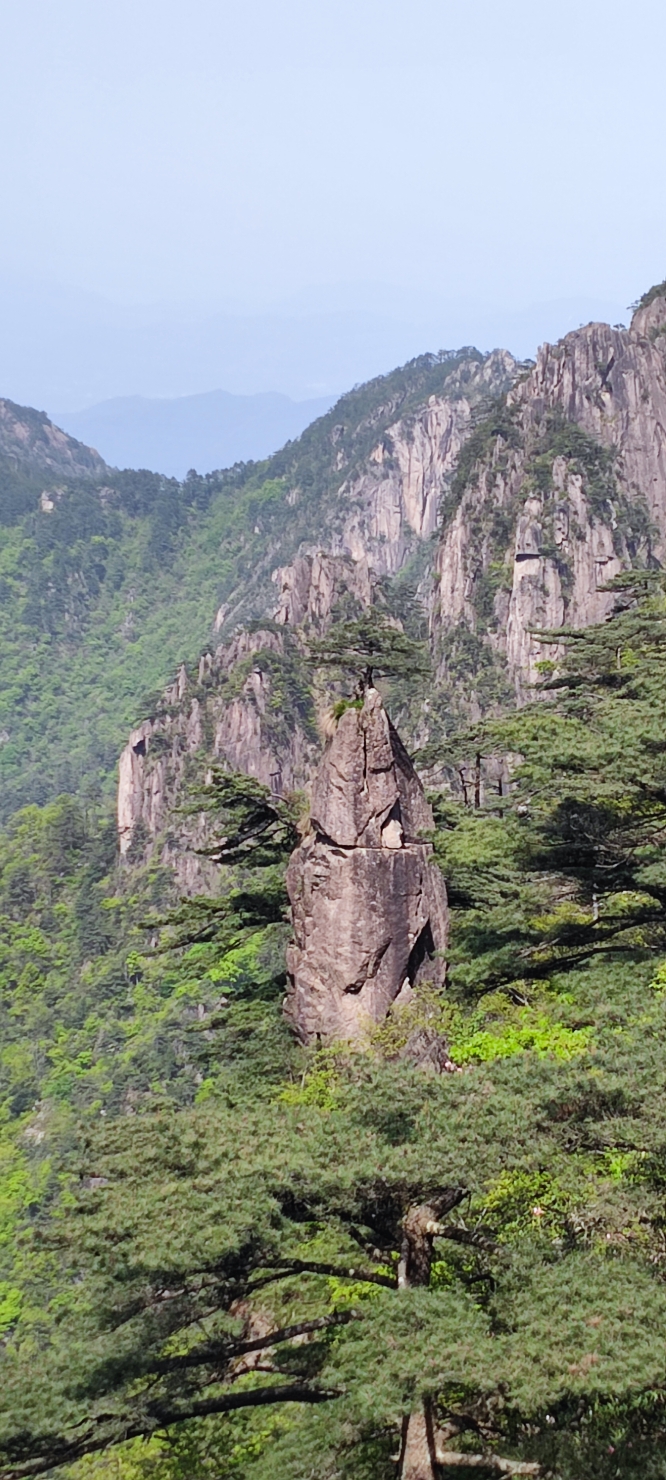 五一黄山亲子两日游