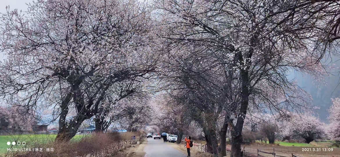 林芝自助遊攻略