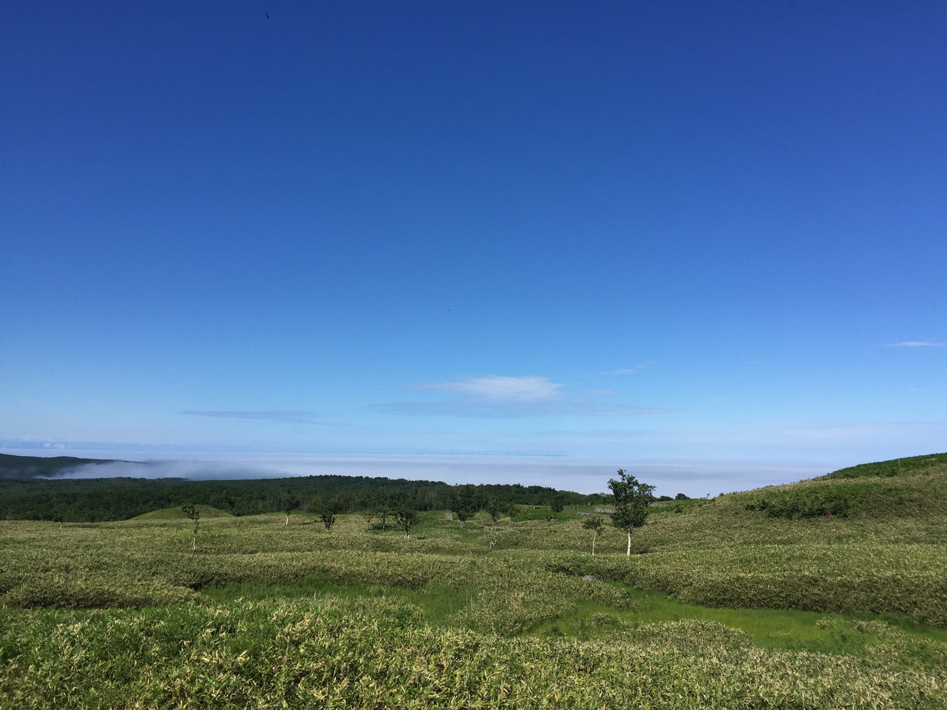 北海道的夏天 北海道自助游攻略 马蜂窝