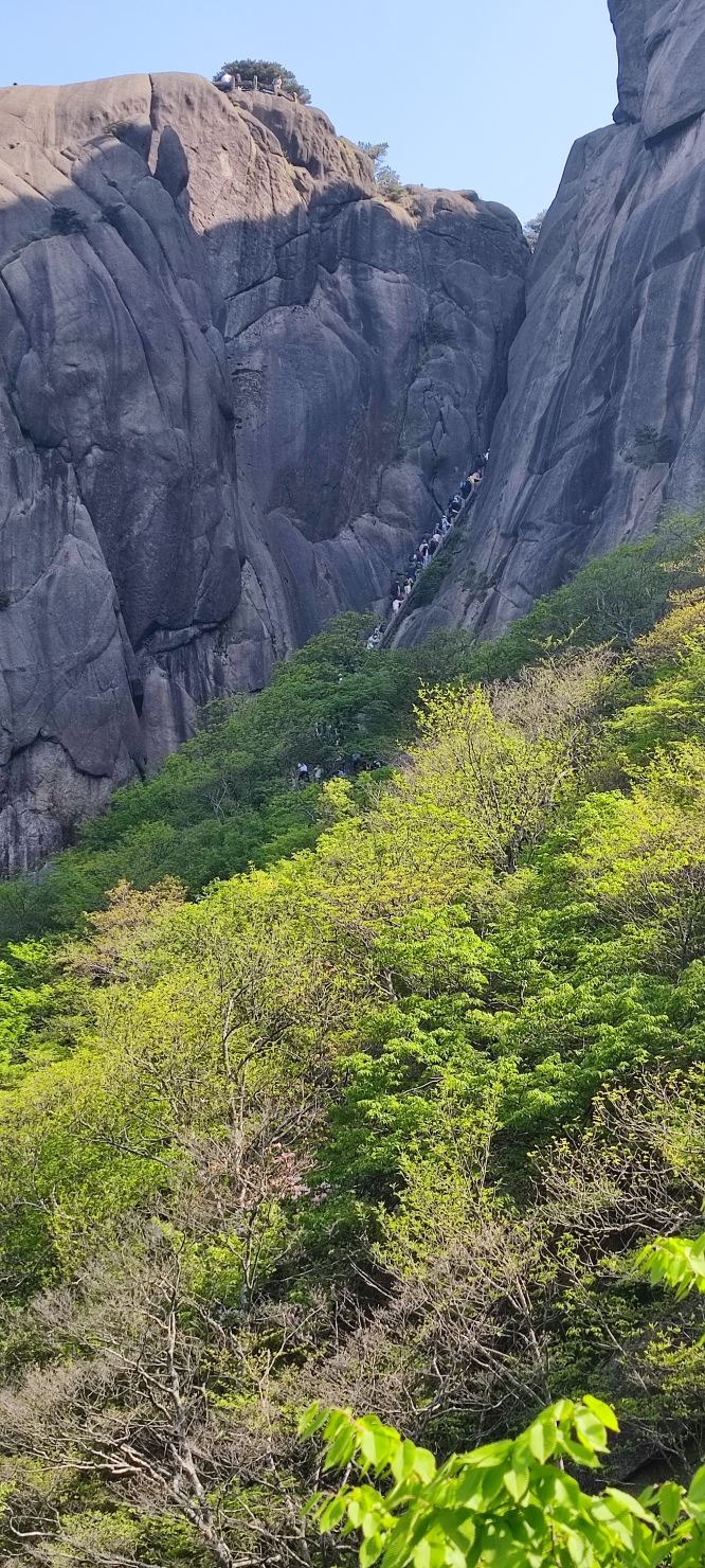 五一黄山亲子两日游