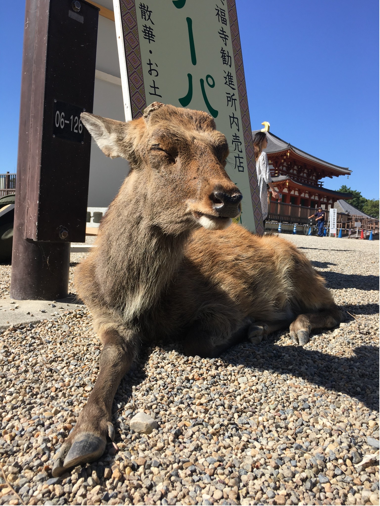 日本自助遊攻略