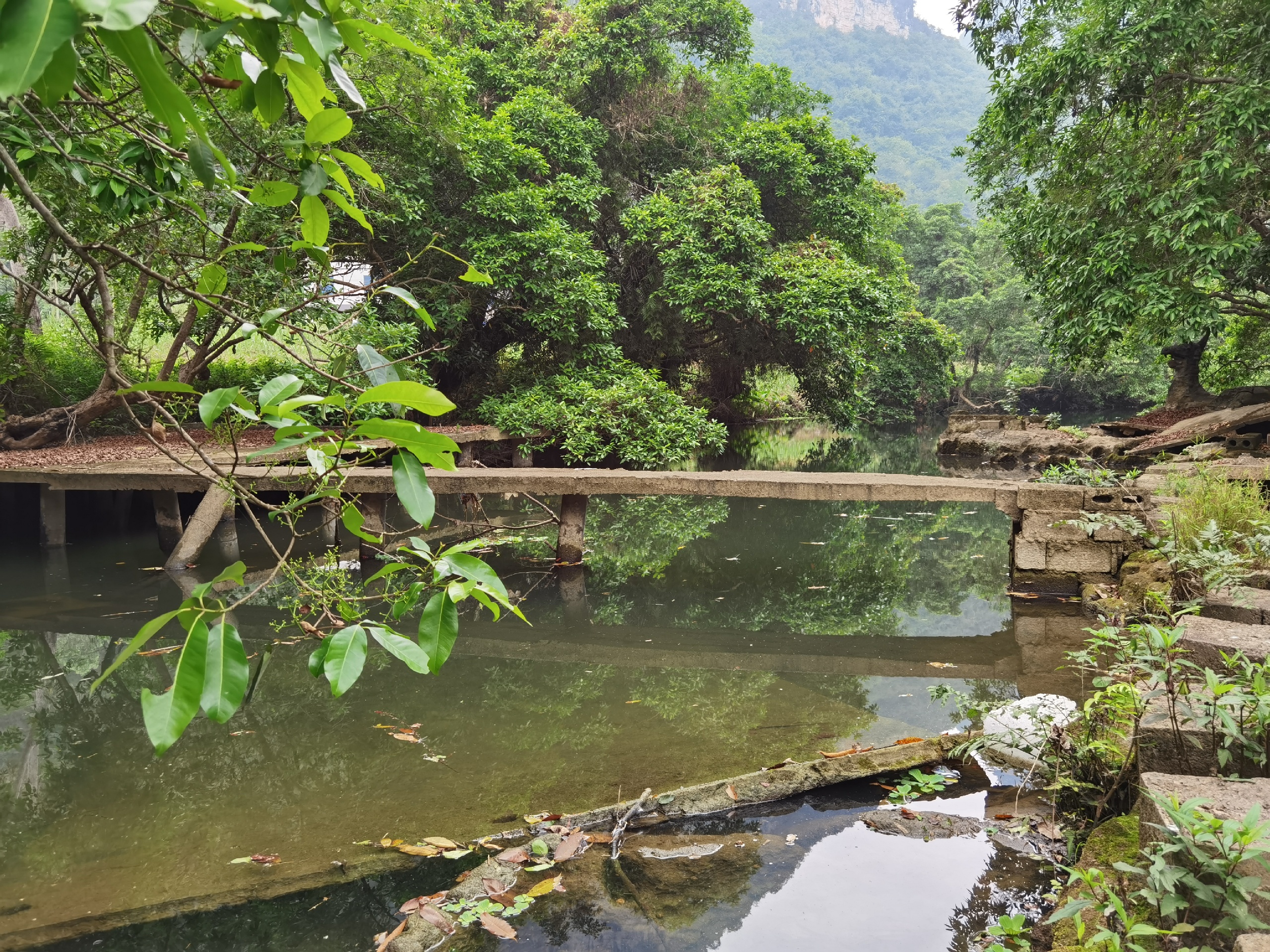 大新县凤凰岭景区