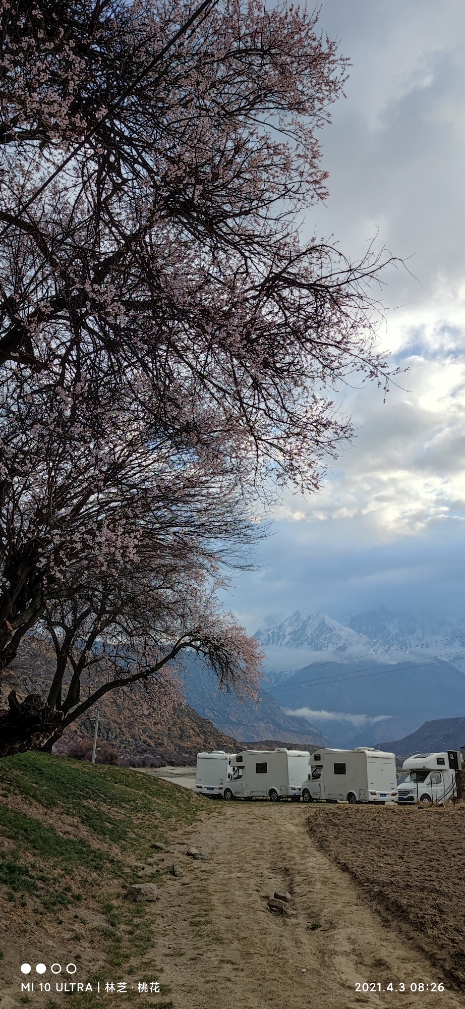 林芝自助遊攻略