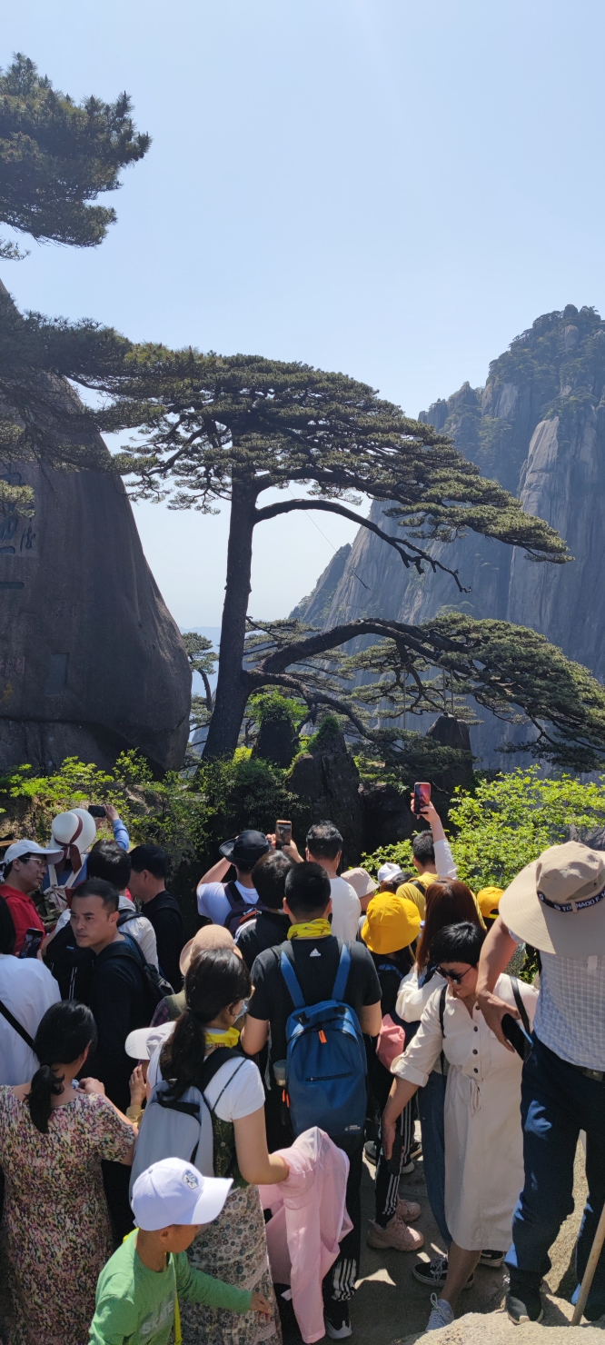 五一黄山亲子两日游,黄山旅游攻略 - 马蜂窝