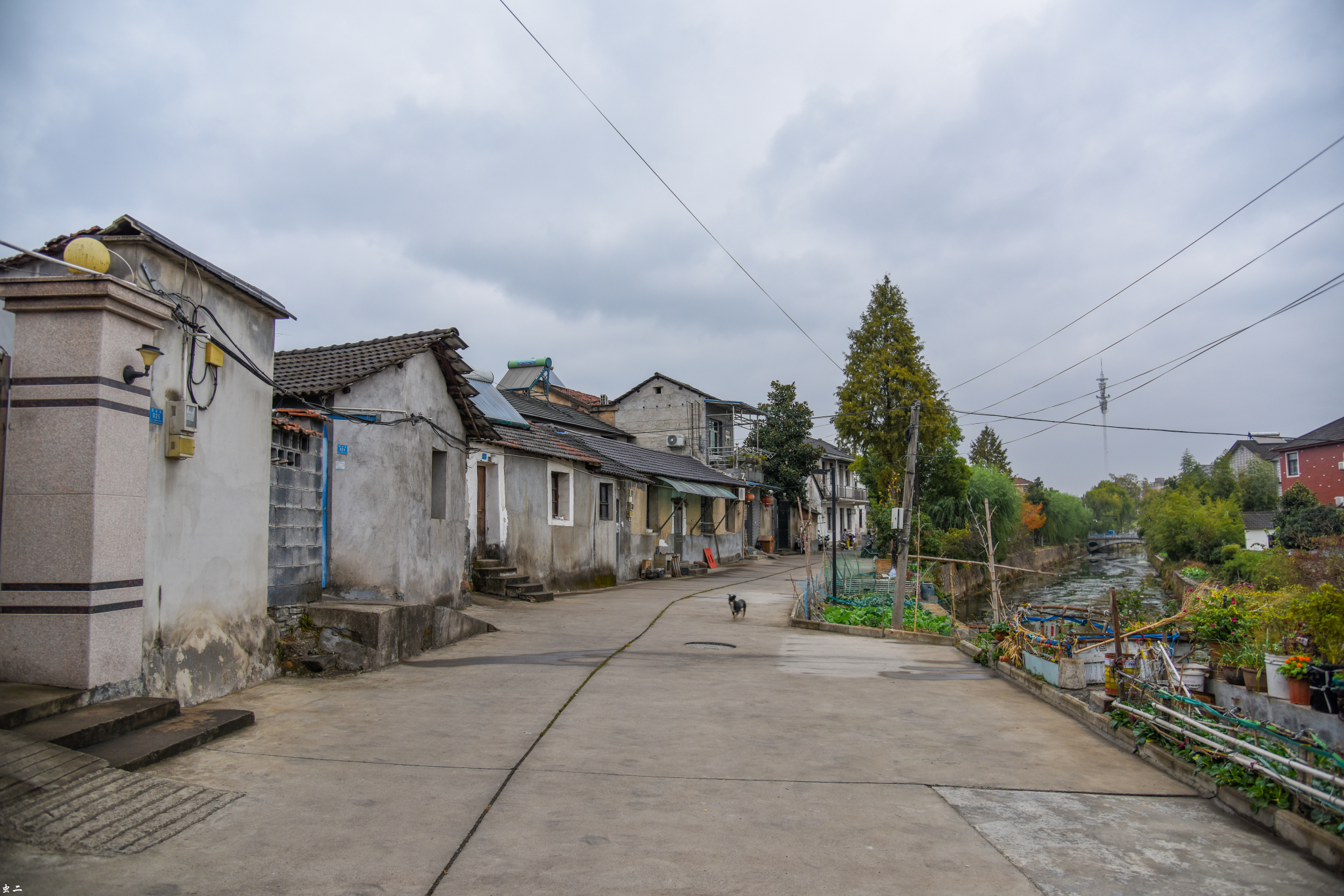 安吉千年孝丰 南门老街 南门王记锅贴 (浙江湖州市安吉县孝丰镇)