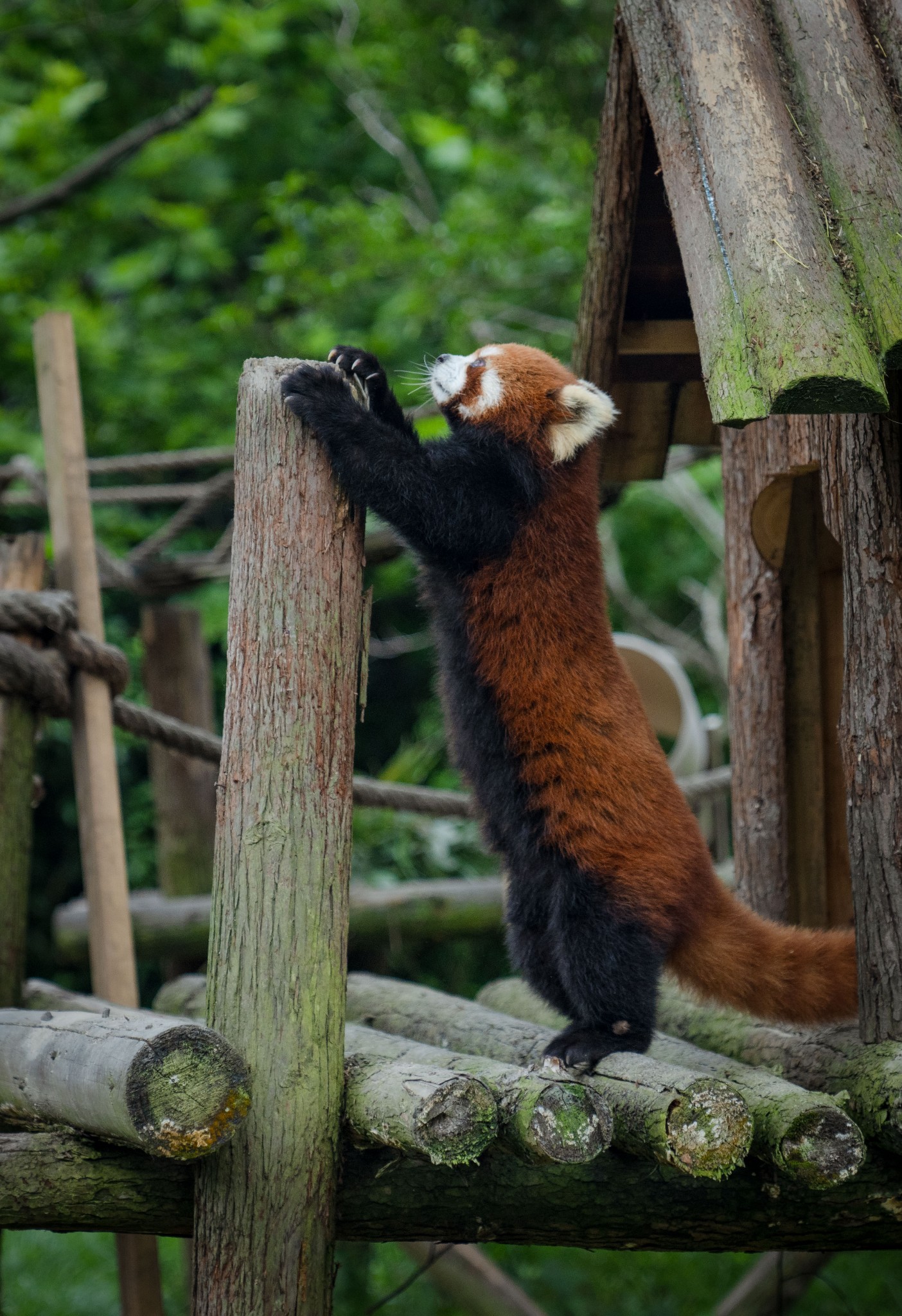 宁波雅戈尔野生动物园，一场奇妙之旅_旅游游记_驴爸爸