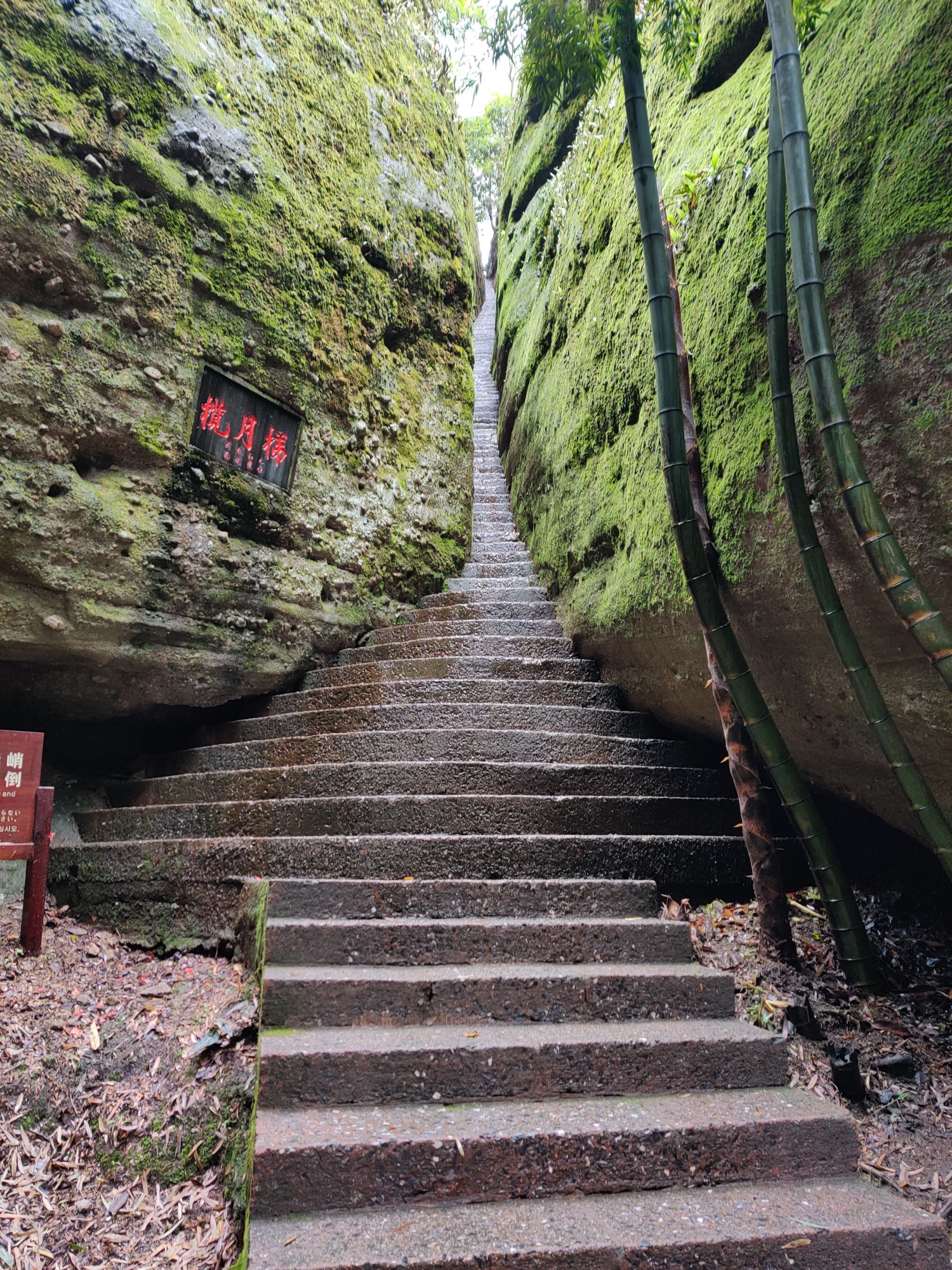 邵陽崀山自駕遊攻略,邵陽旅遊攻略 - 馬蜂窩