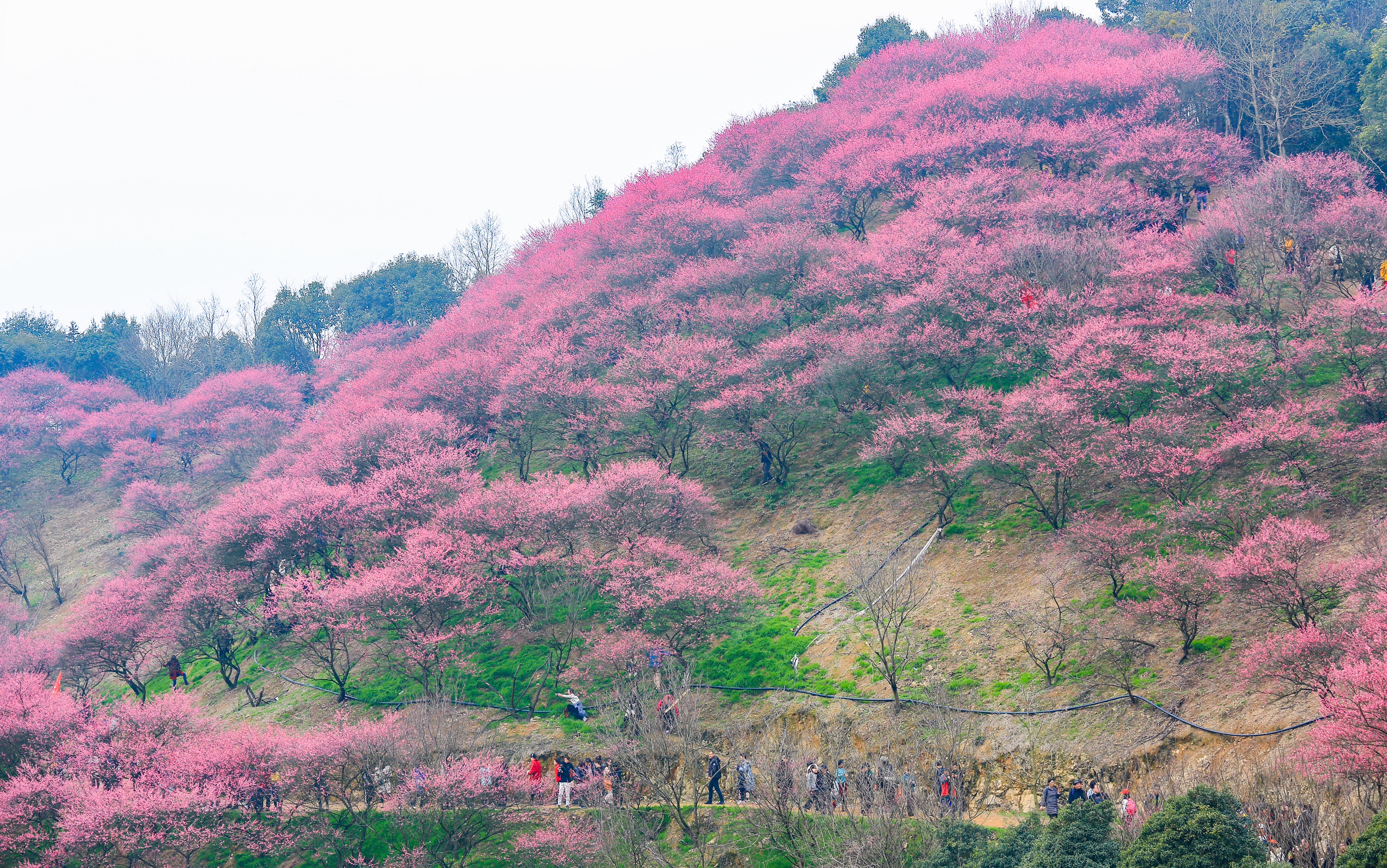 新建村