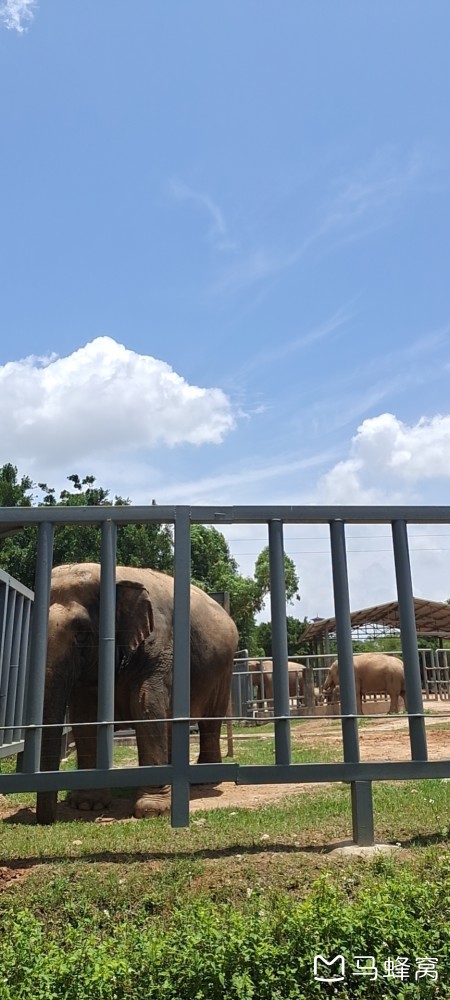 东莞香市动物园好不好玩? - 马蜂窝