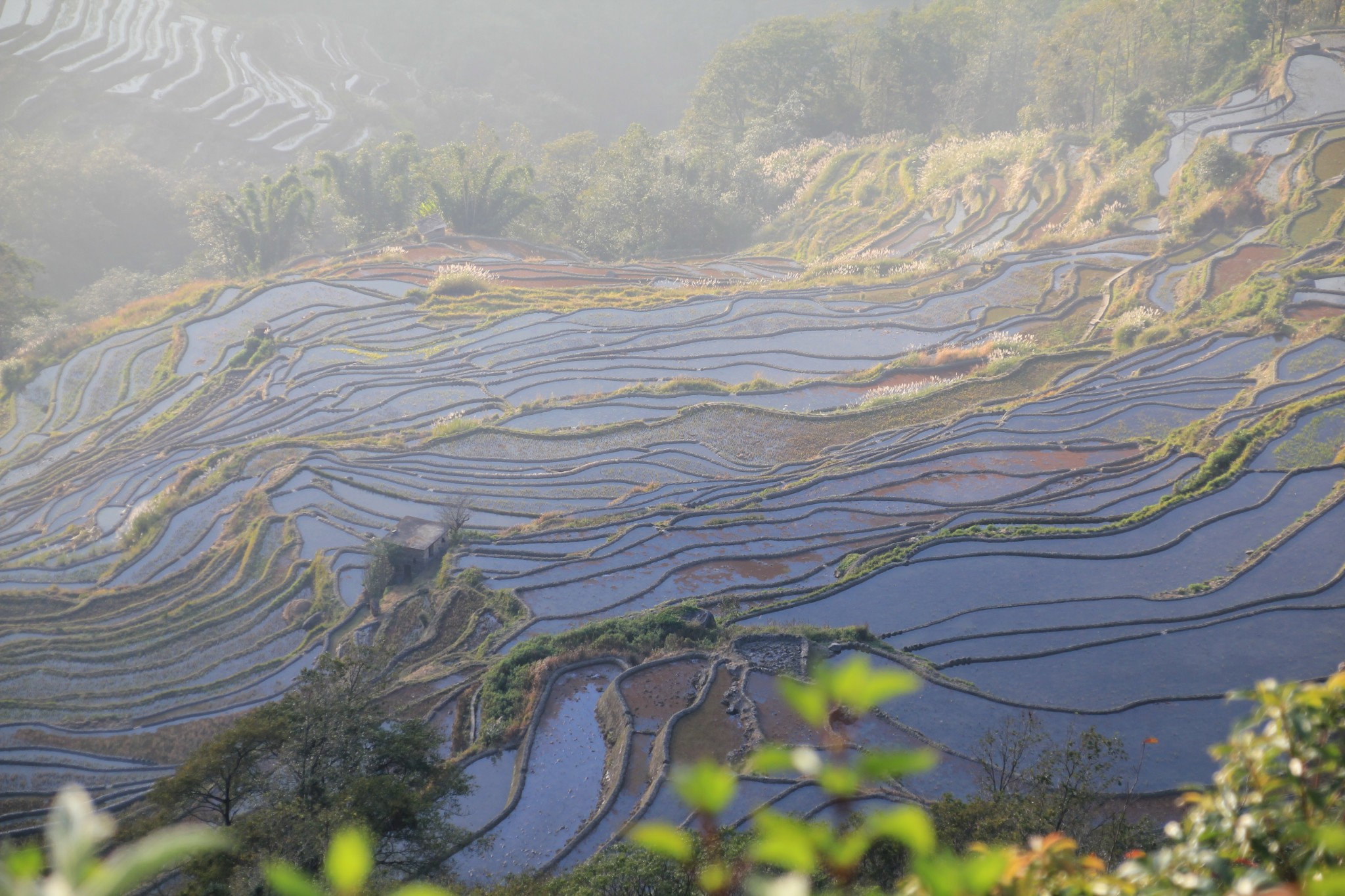 元阳梯田云南广西小众景点自驾游10