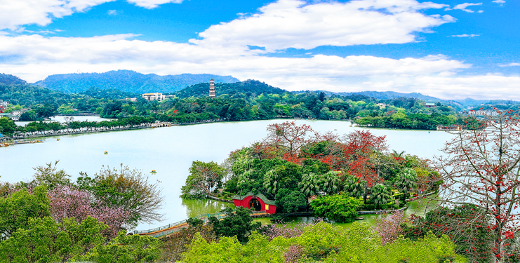 美食……ta的窩一切精彩惠發生山海惠州文旅館自由行攻略2021-06-24