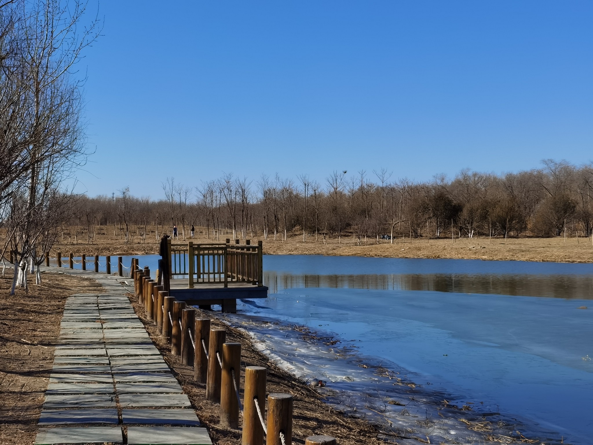 天津东丽郊野公园