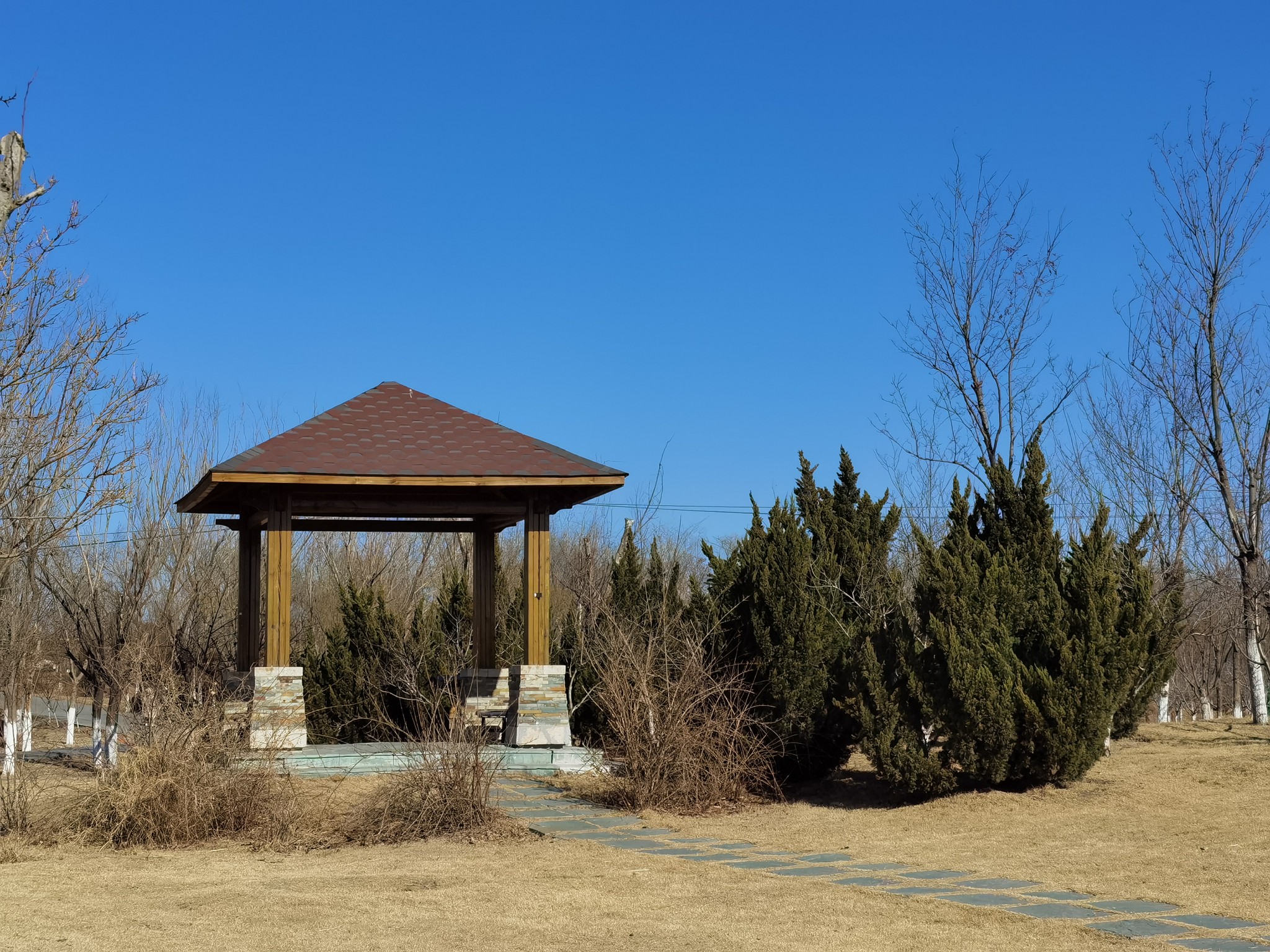 天津东丽郊野公园