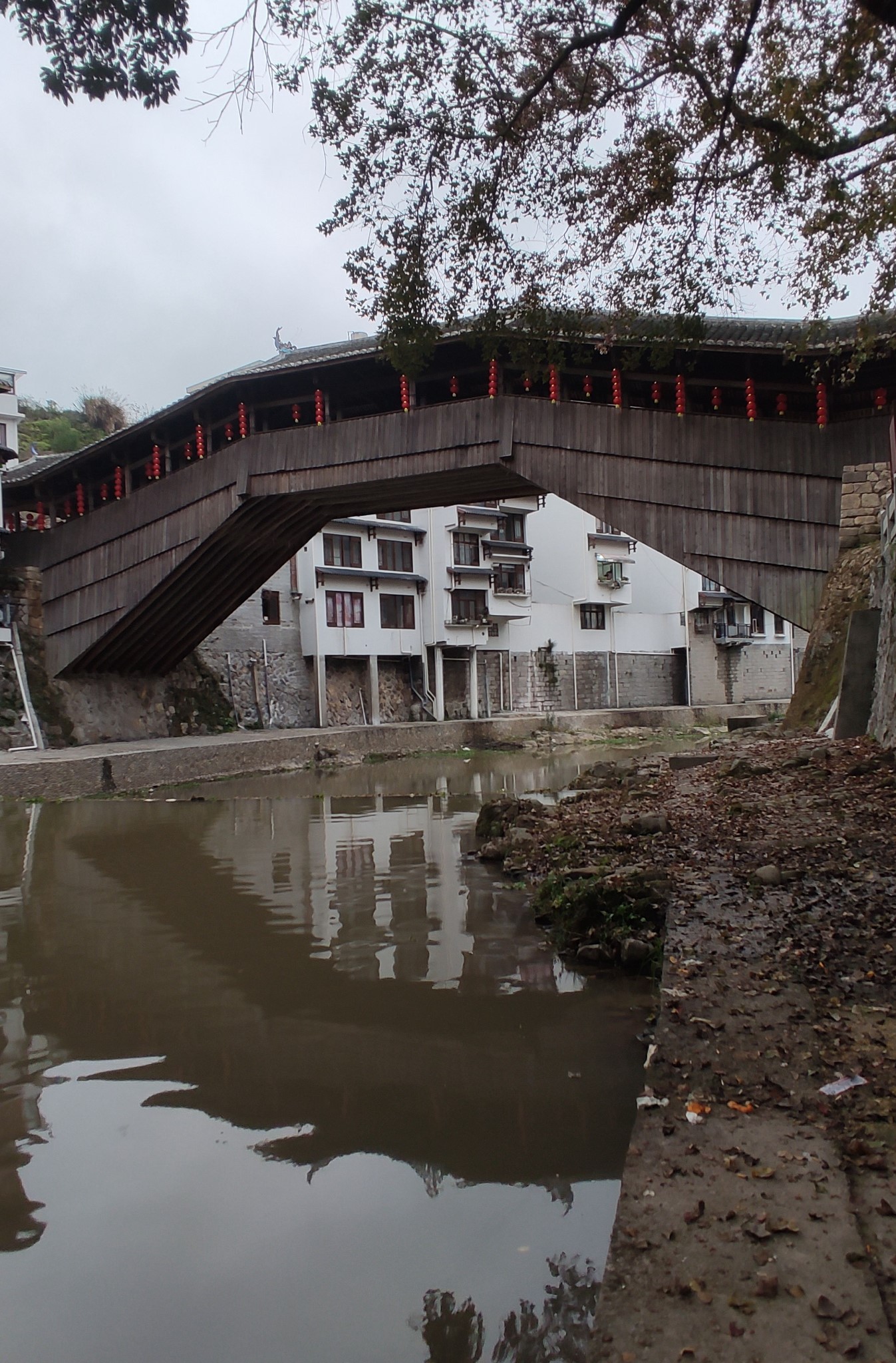 廊桥之乡的泰顺薛宅桥始建于明代2016年在莫兰蒂台风中被洪水冲垮2017