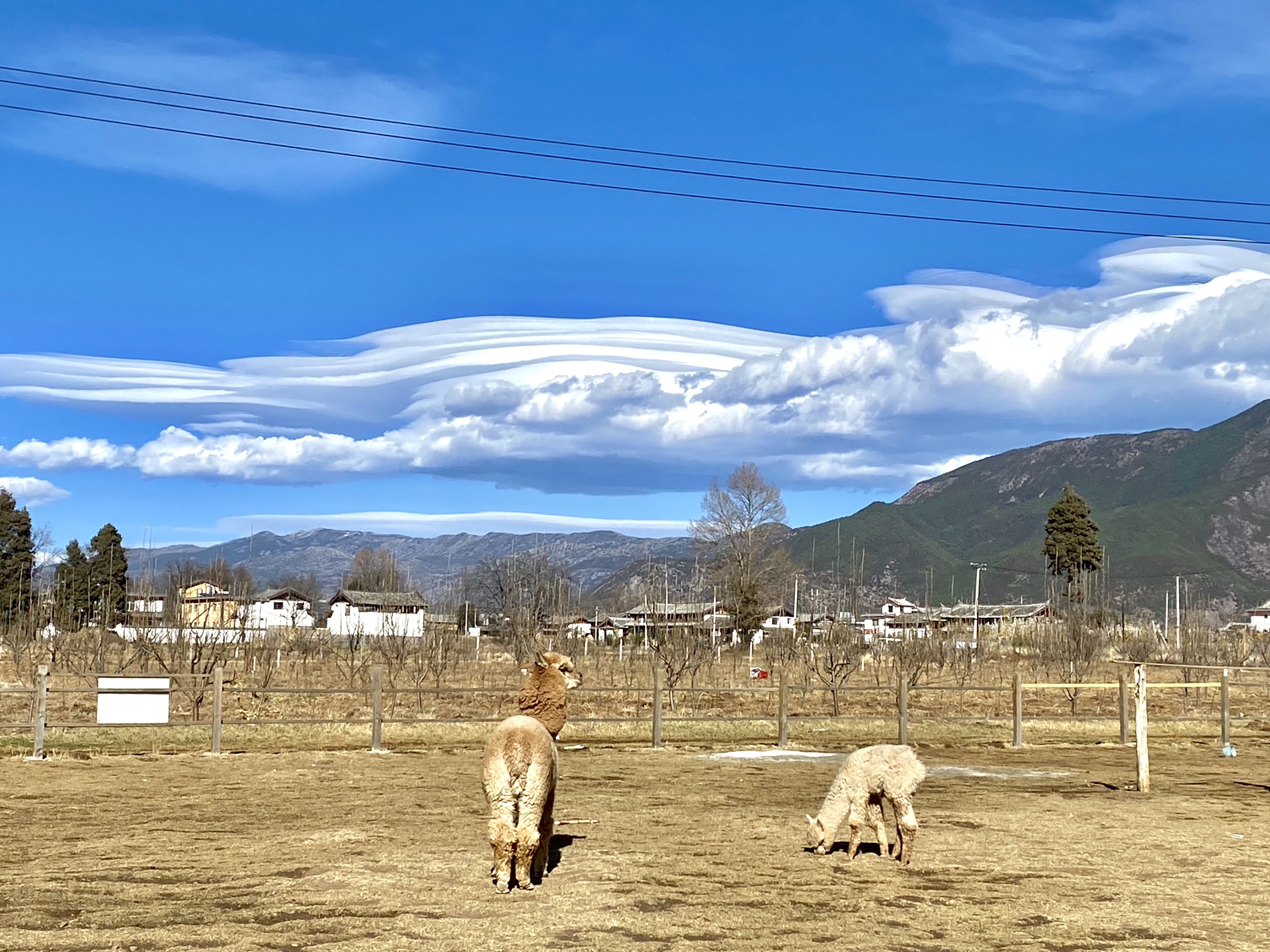 丽江孝尊木梨庄园