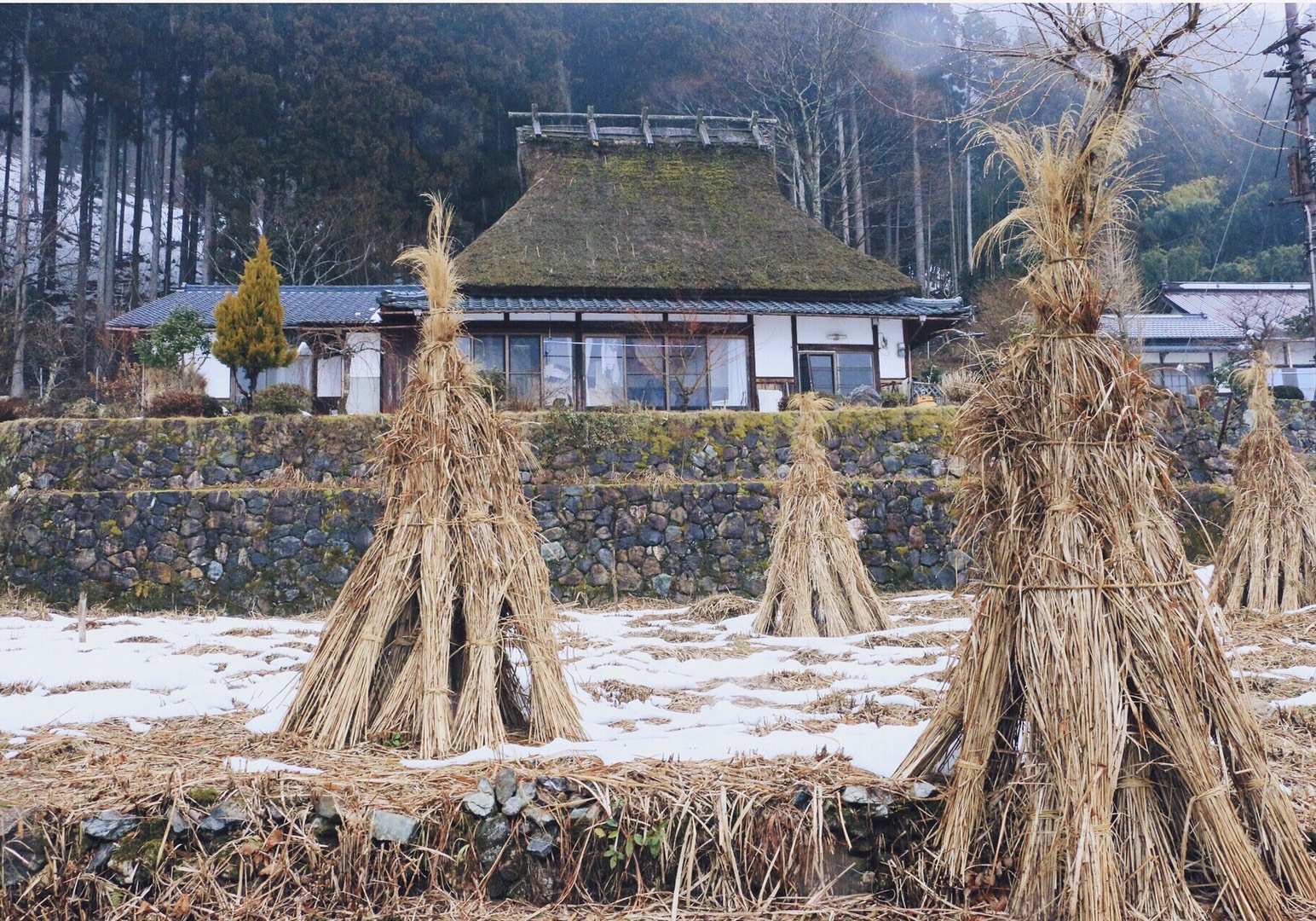 日本自助遊攻略