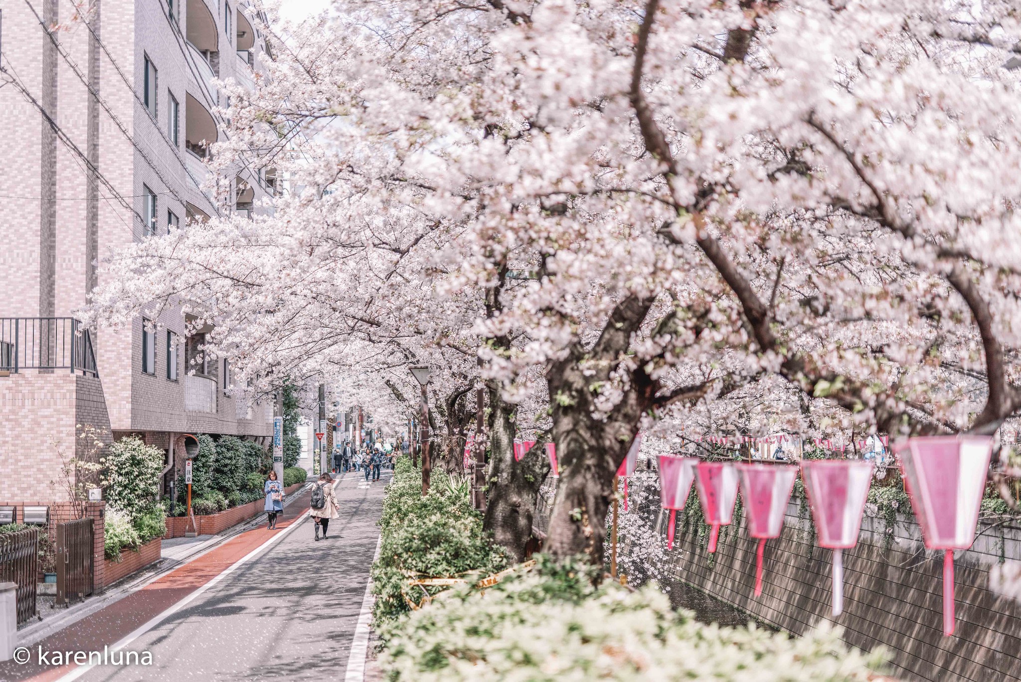 東京自助遊攻略