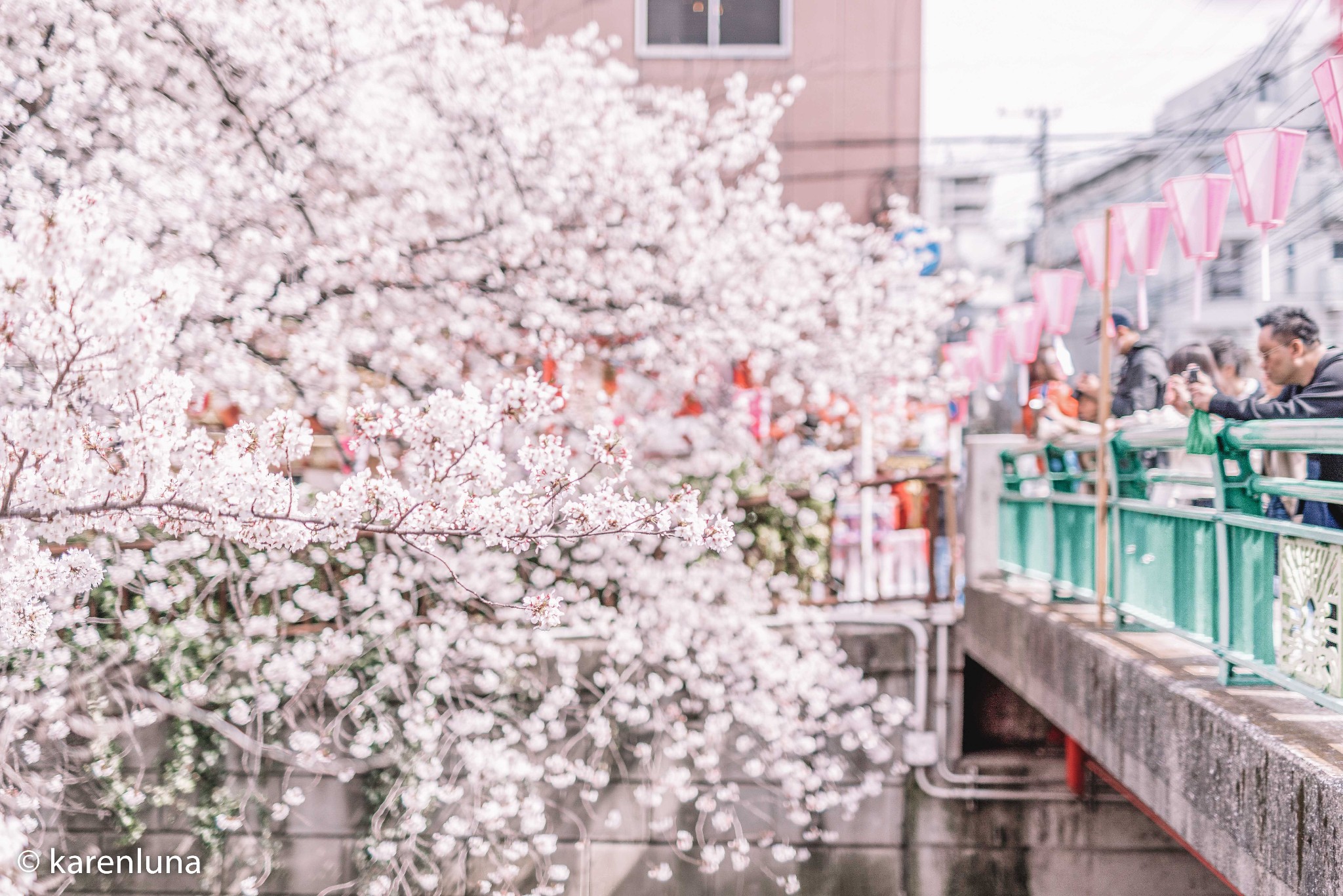 東京自助遊攻略