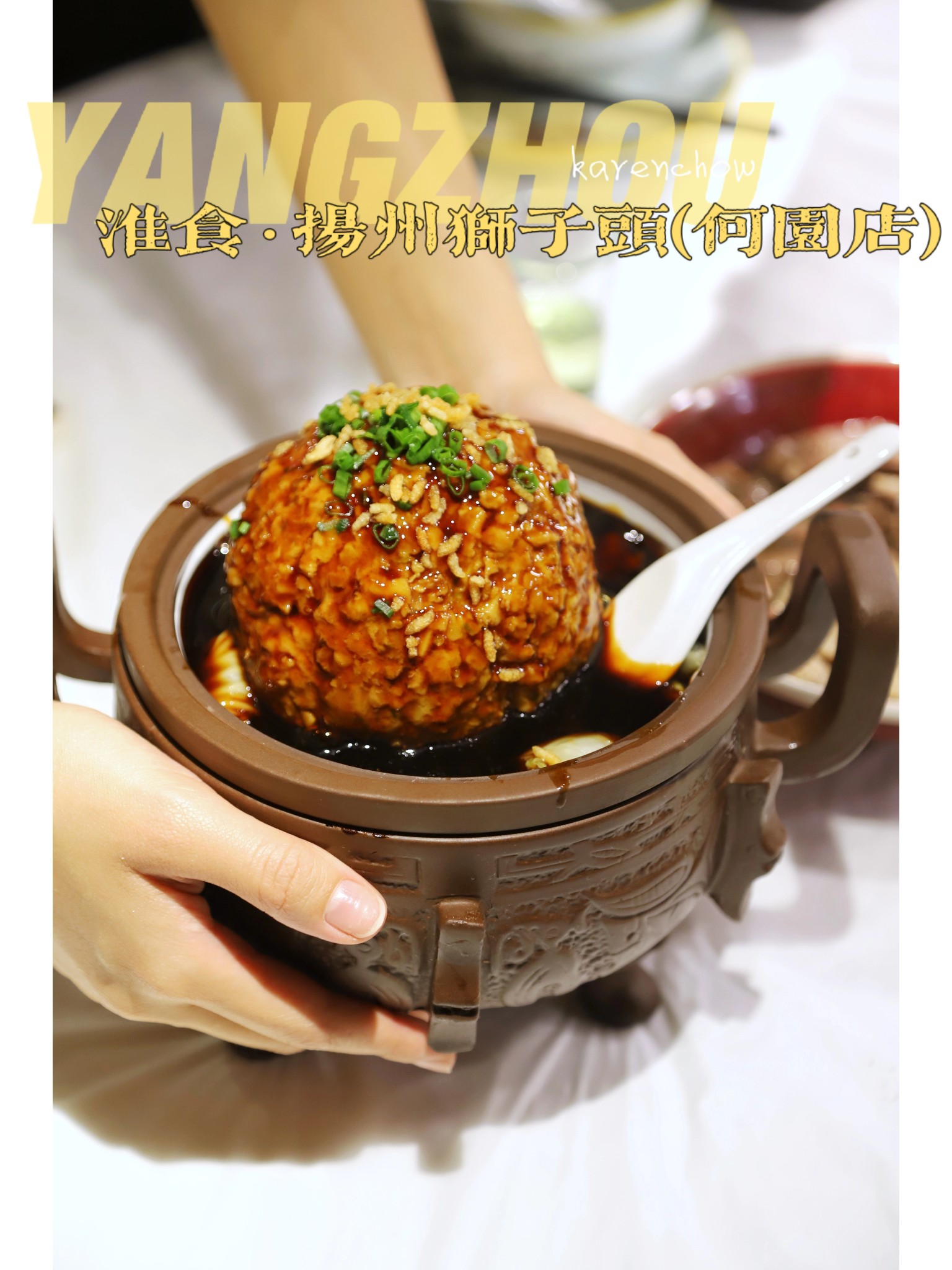 淮食·扬州狮子头(鱼不同店)