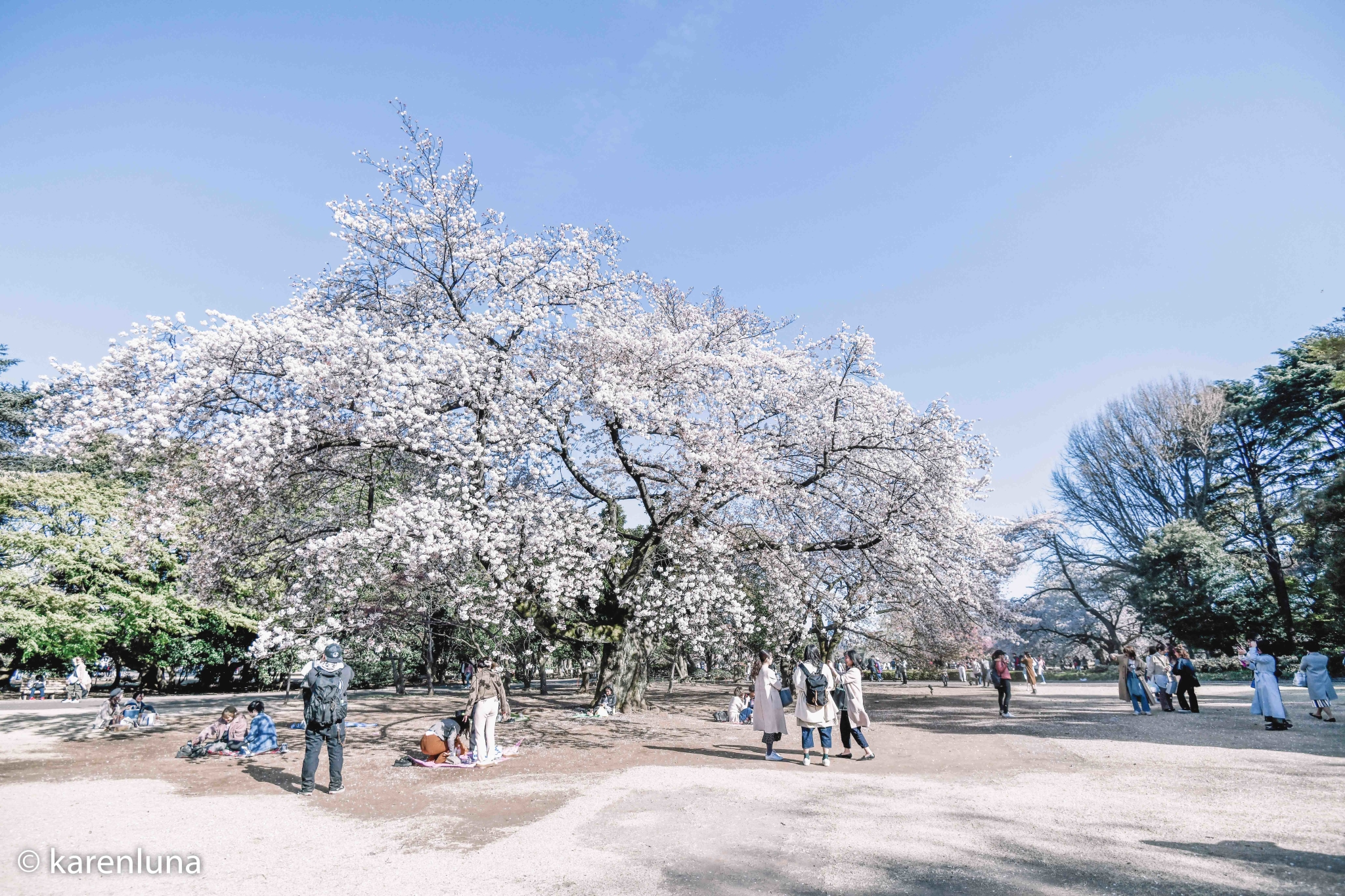 東京自助遊攻略