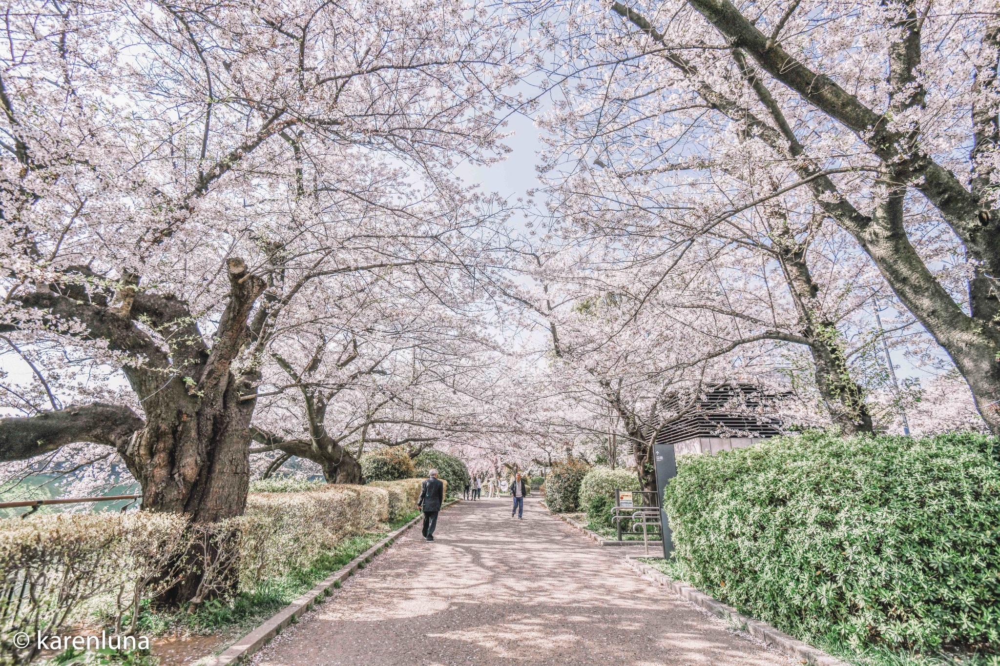 東京自助遊攻略