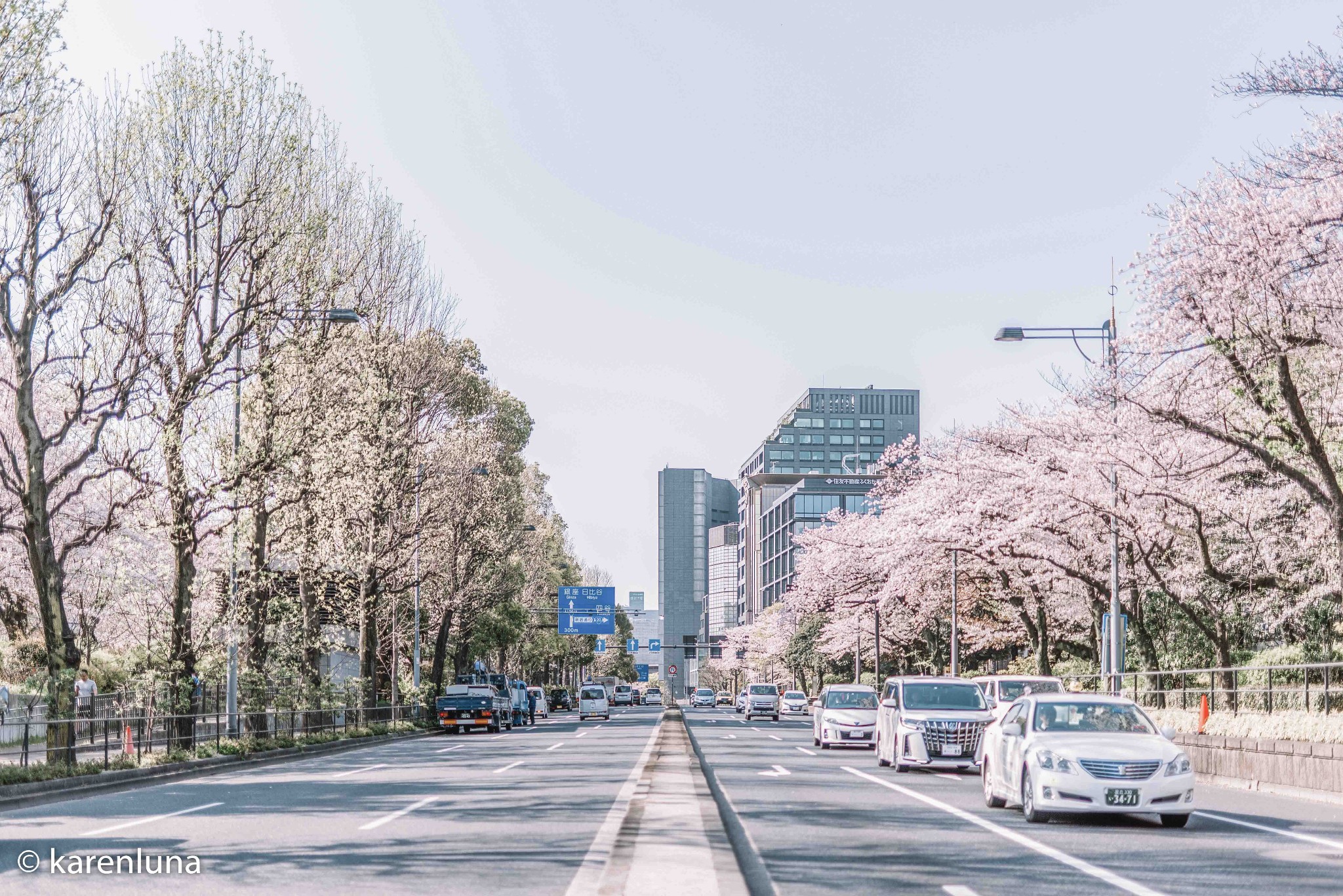 東京自助遊攻略