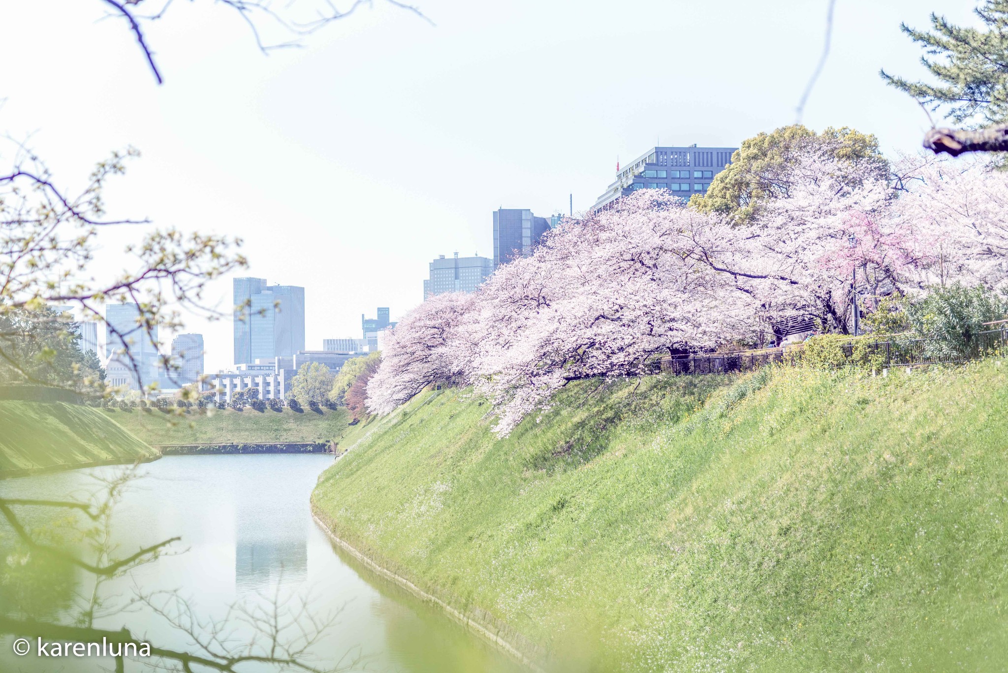 東京自助遊攻略