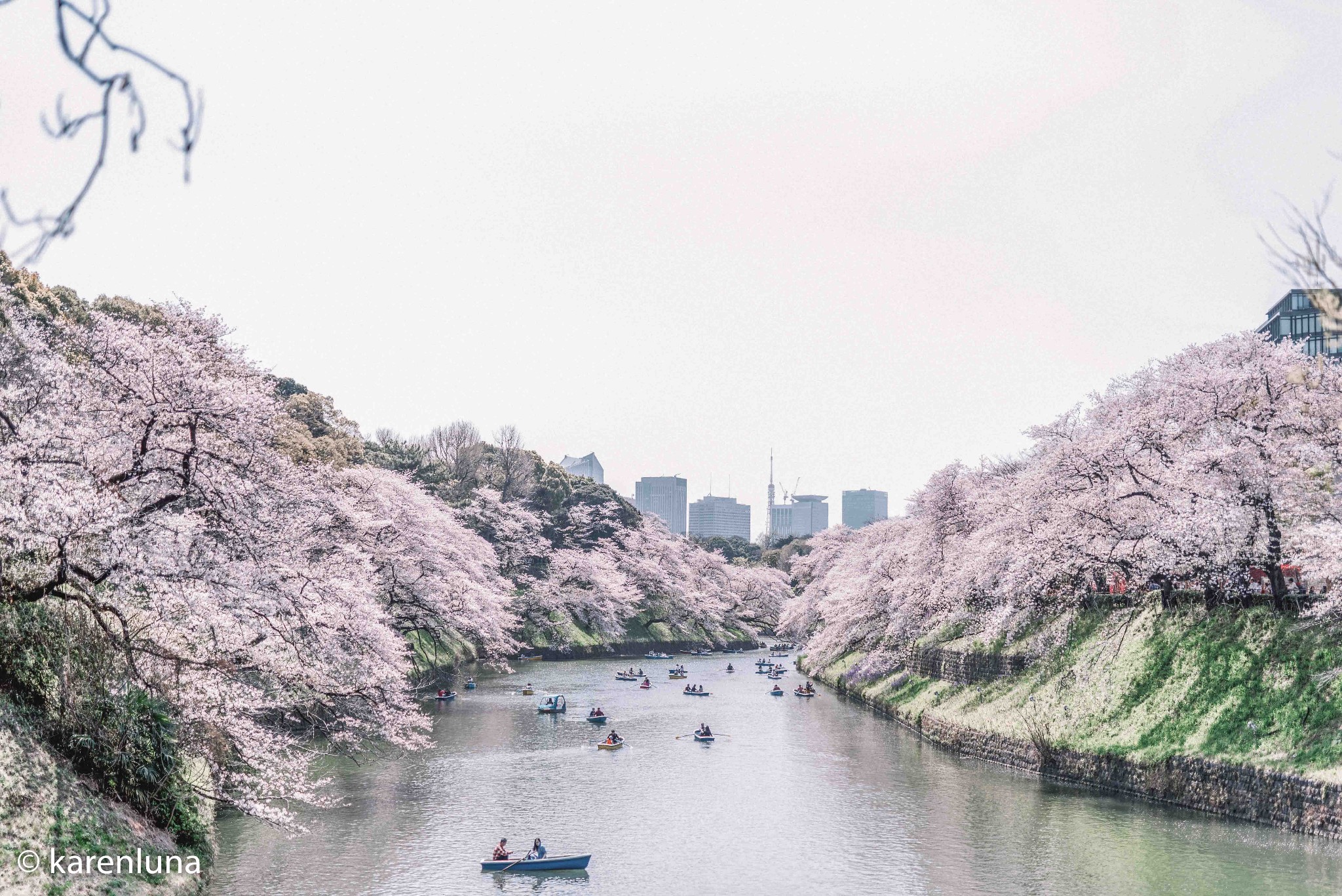 東京自助遊攻略