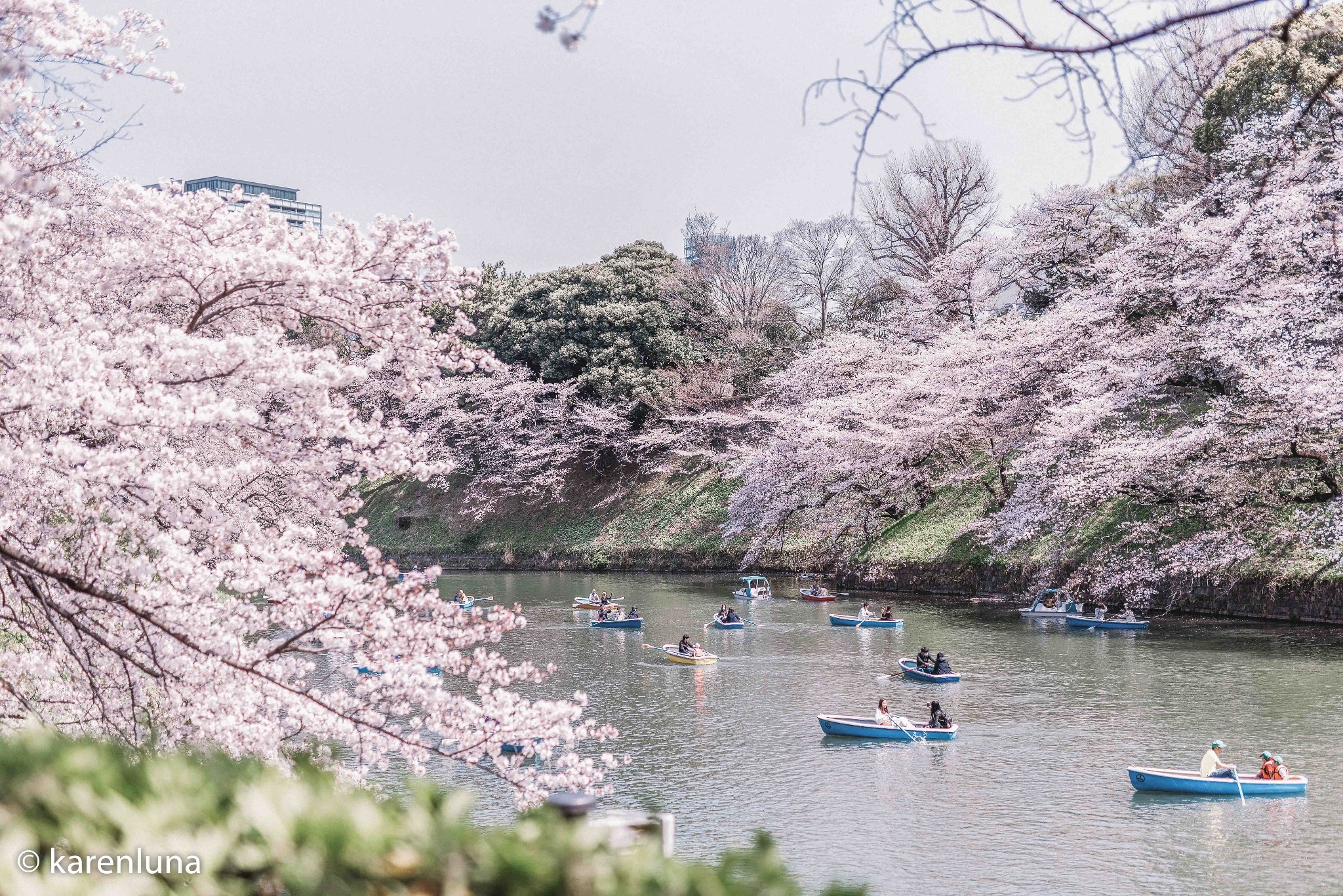 東京自助遊攻略