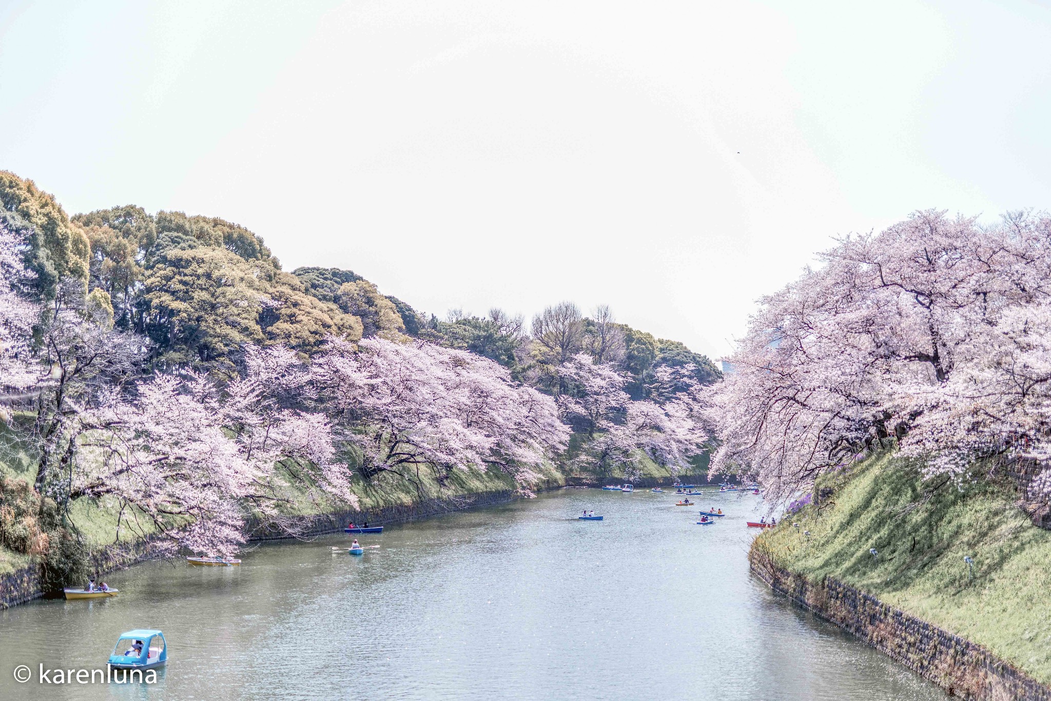 東京自助遊攻略