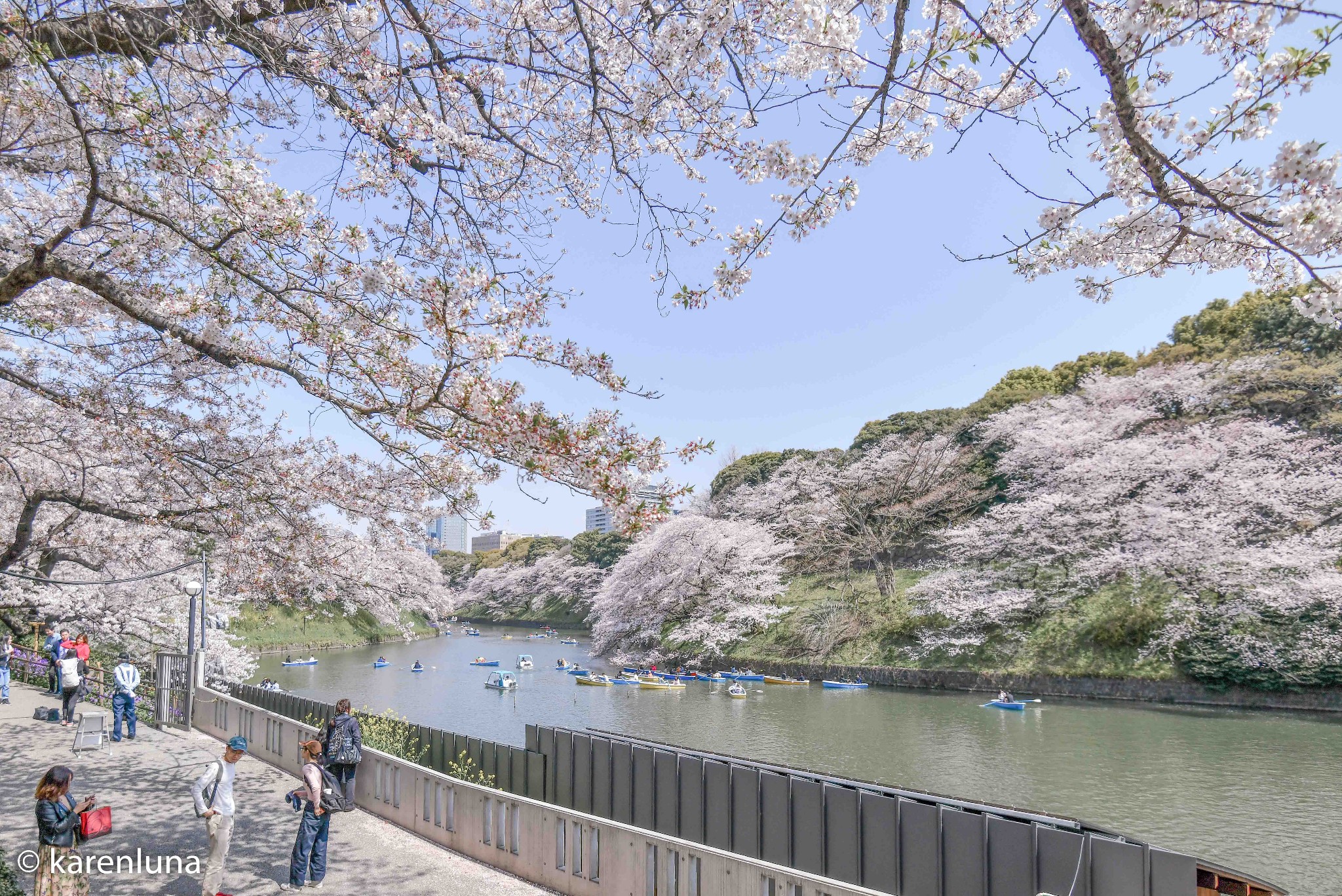 東京自助遊攻略