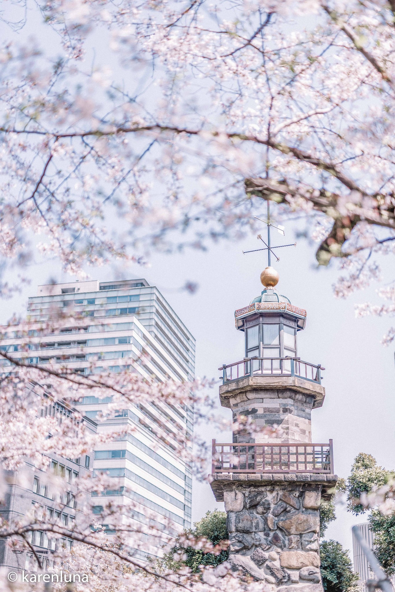 東京自助遊攻略