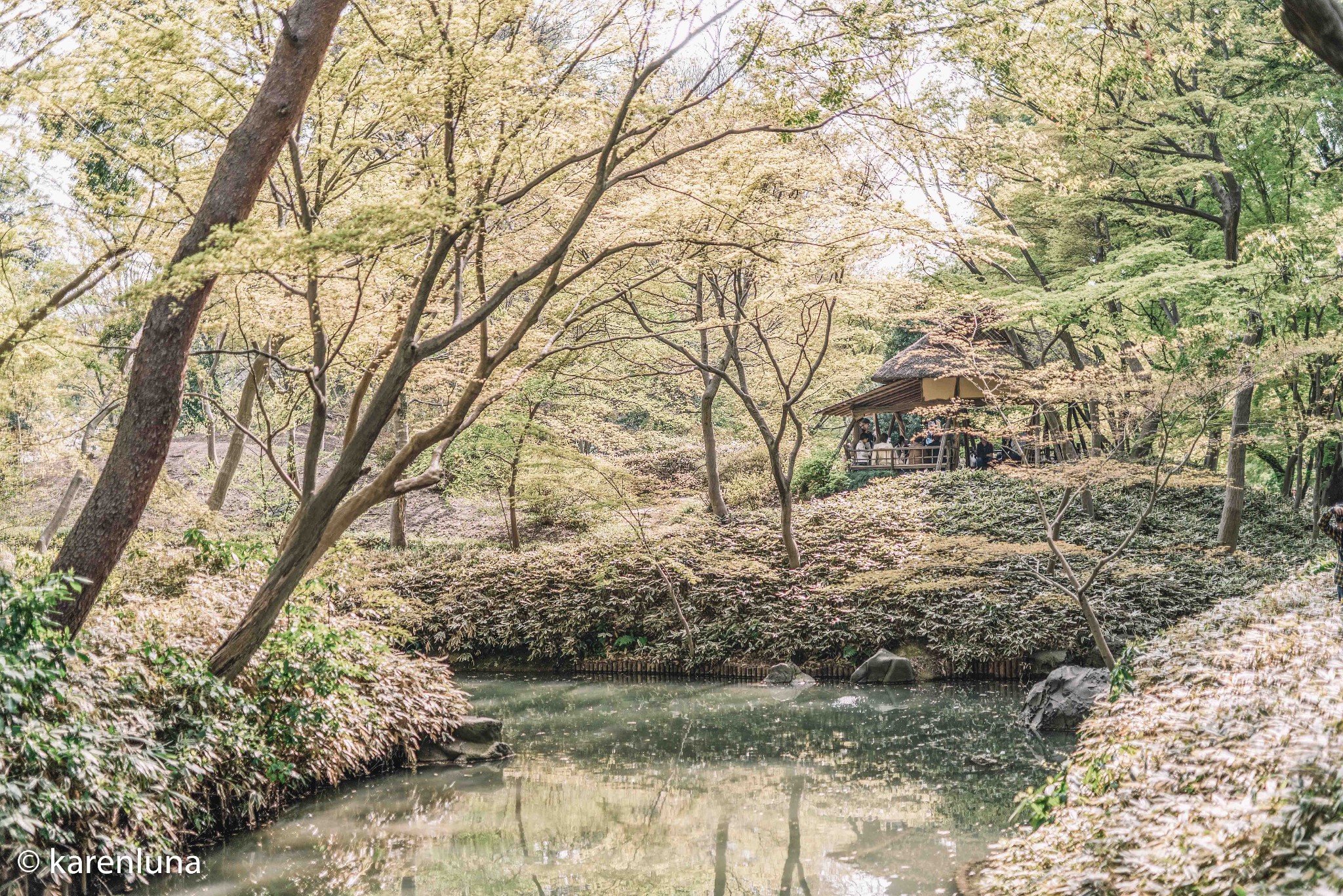 東京自助遊攻略