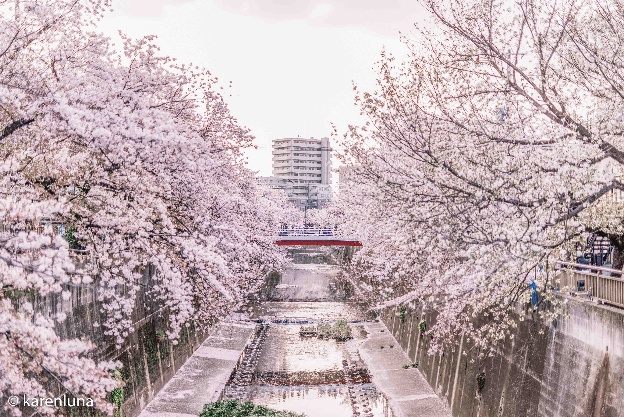 東京自助遊攻略