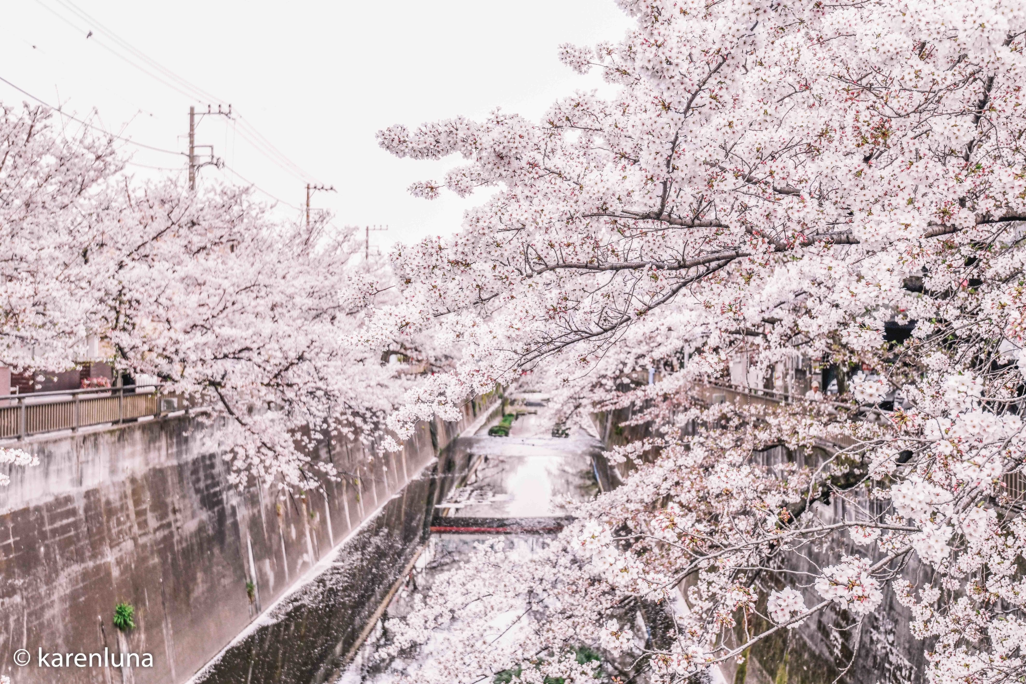 東京自助遊攻略