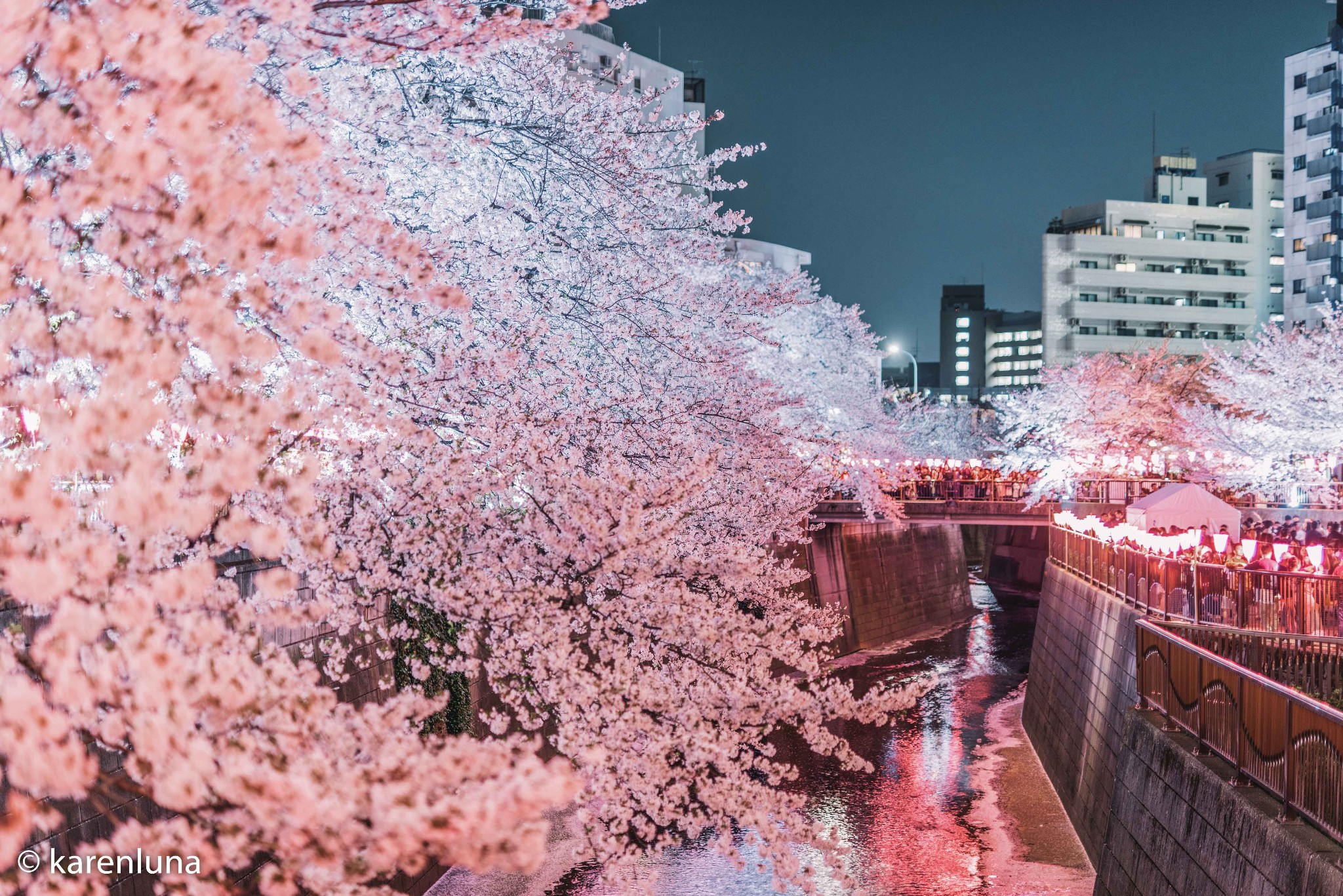 東京自助遊攻略