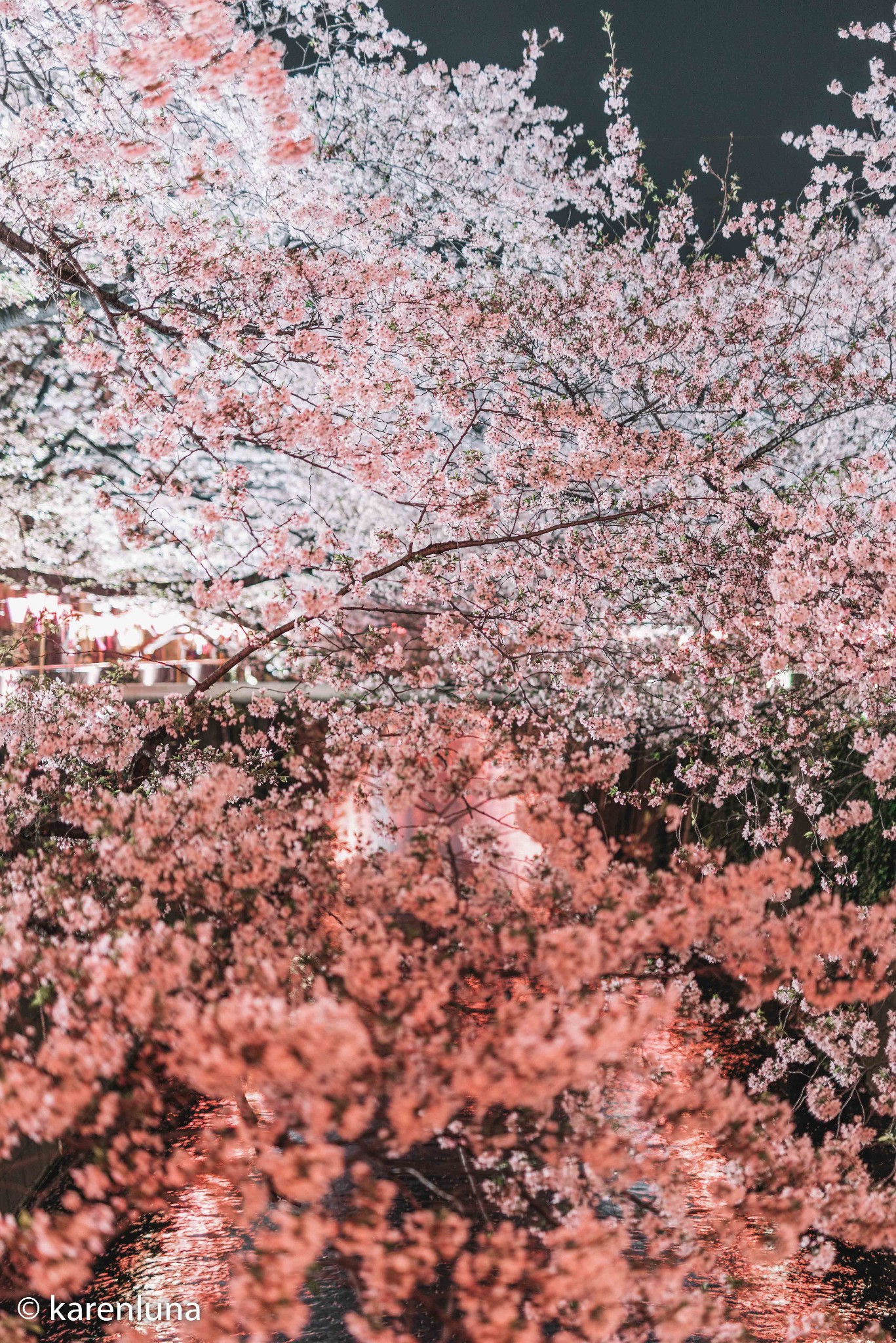 東京自助遊攻略